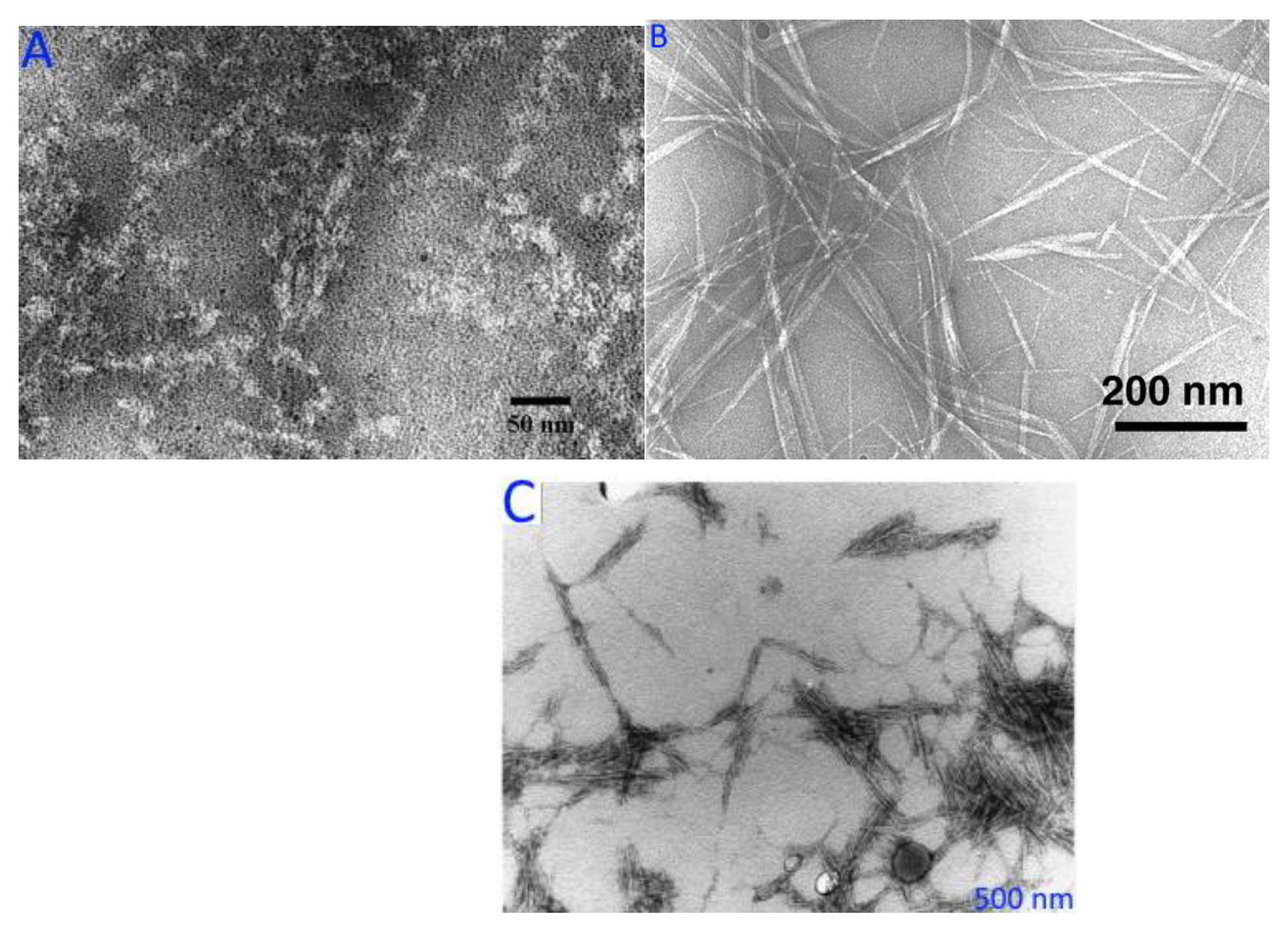 Agronomy 13 00561 g009