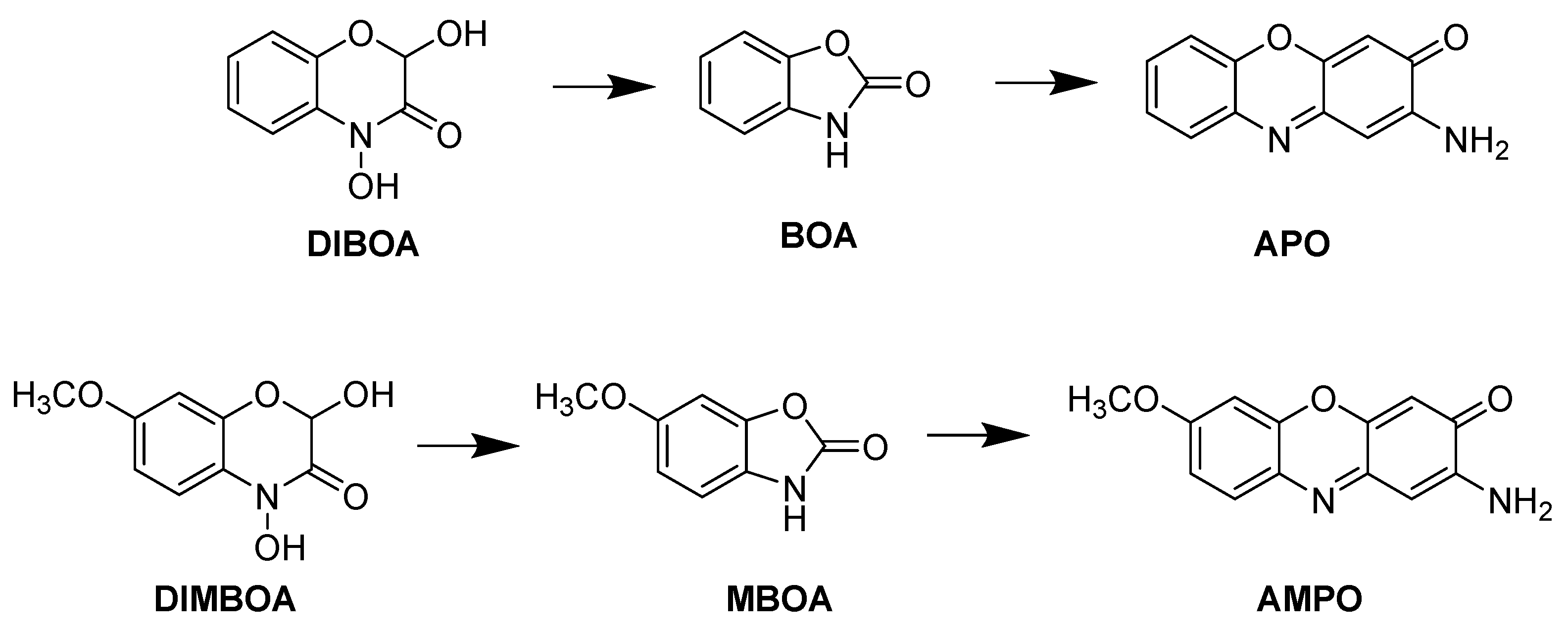 Agronomy 13 00568 g001