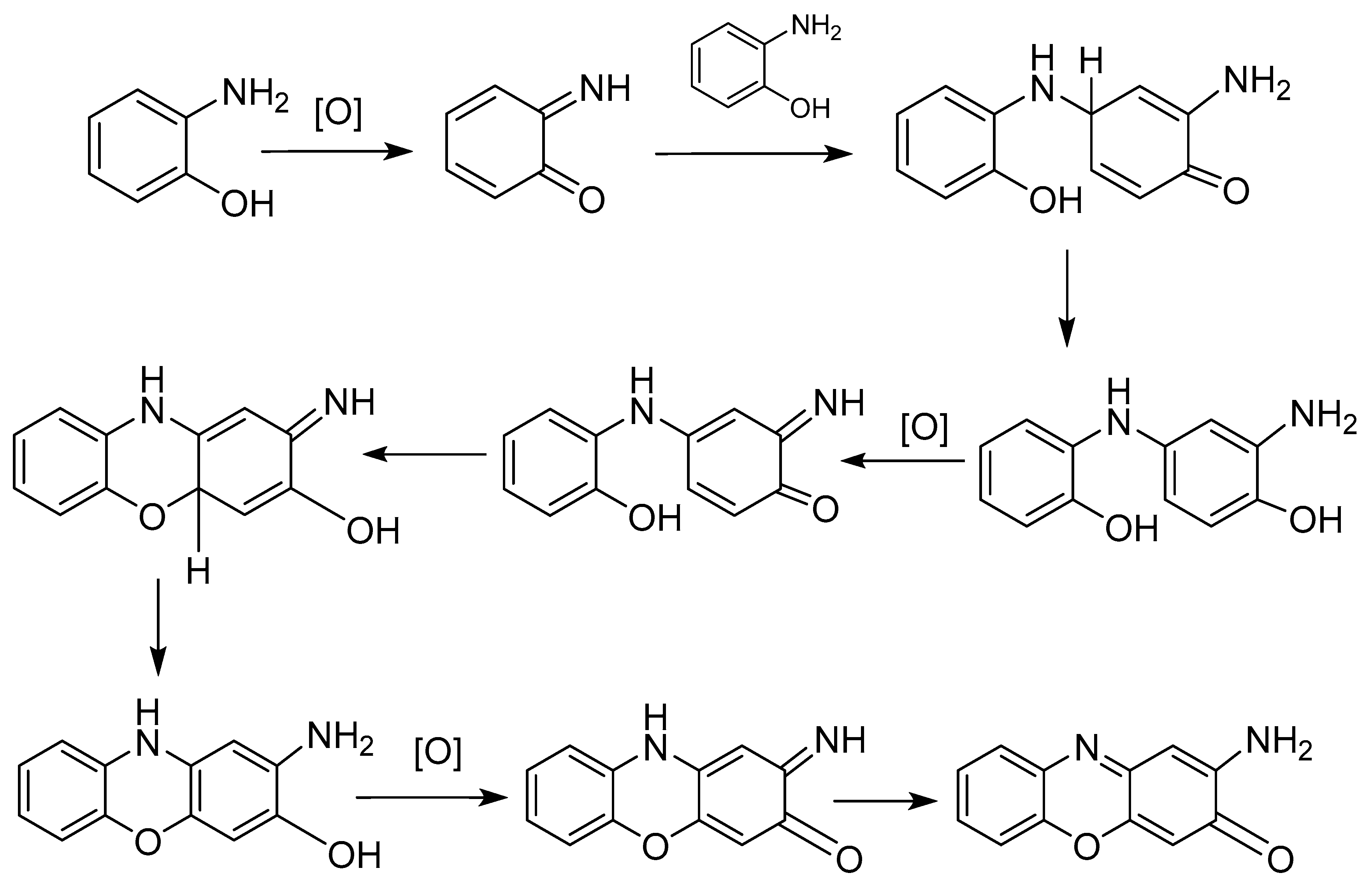 Agronomy 13 00568 g003