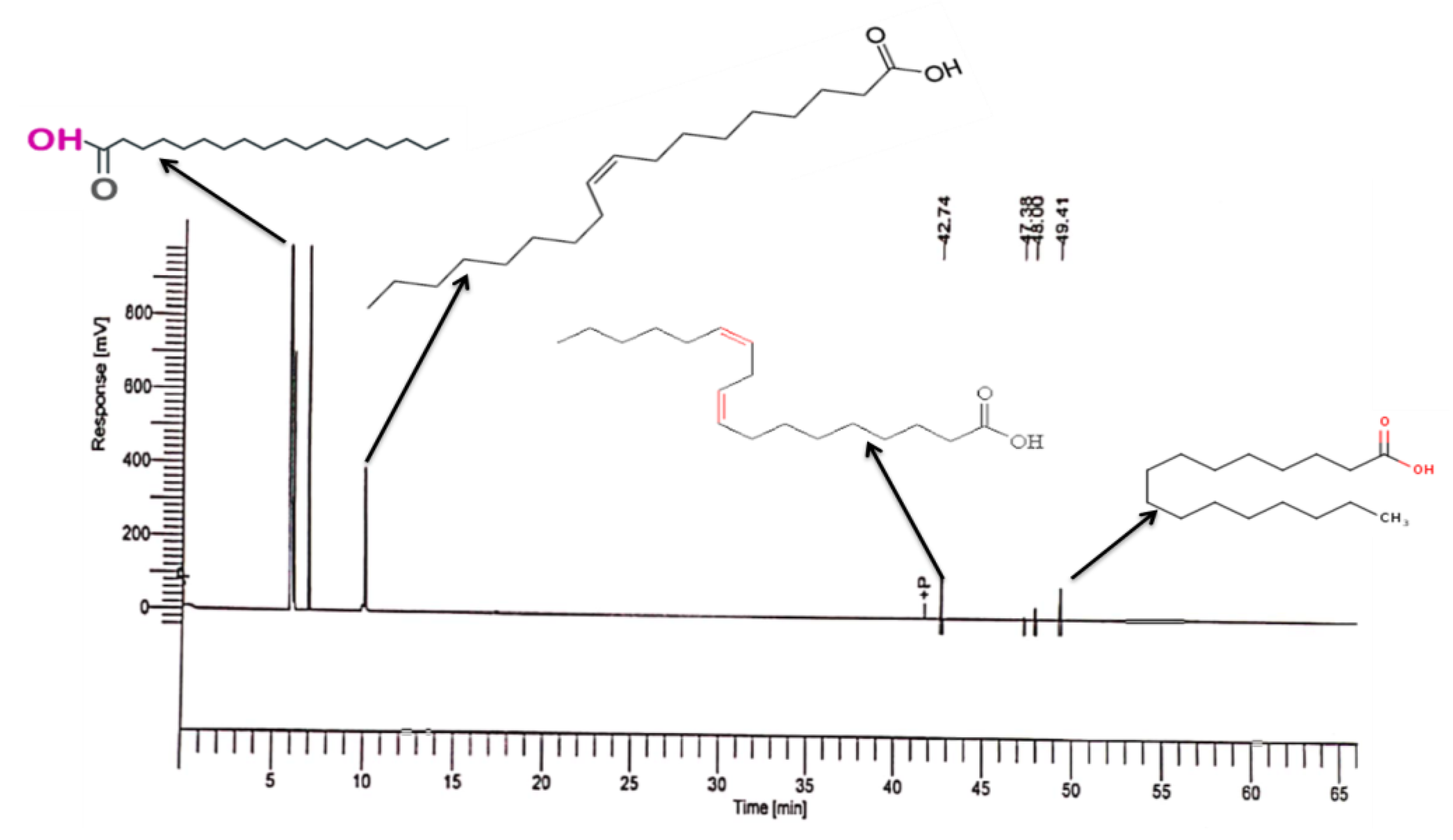 Agronomy 13 00573 g006
