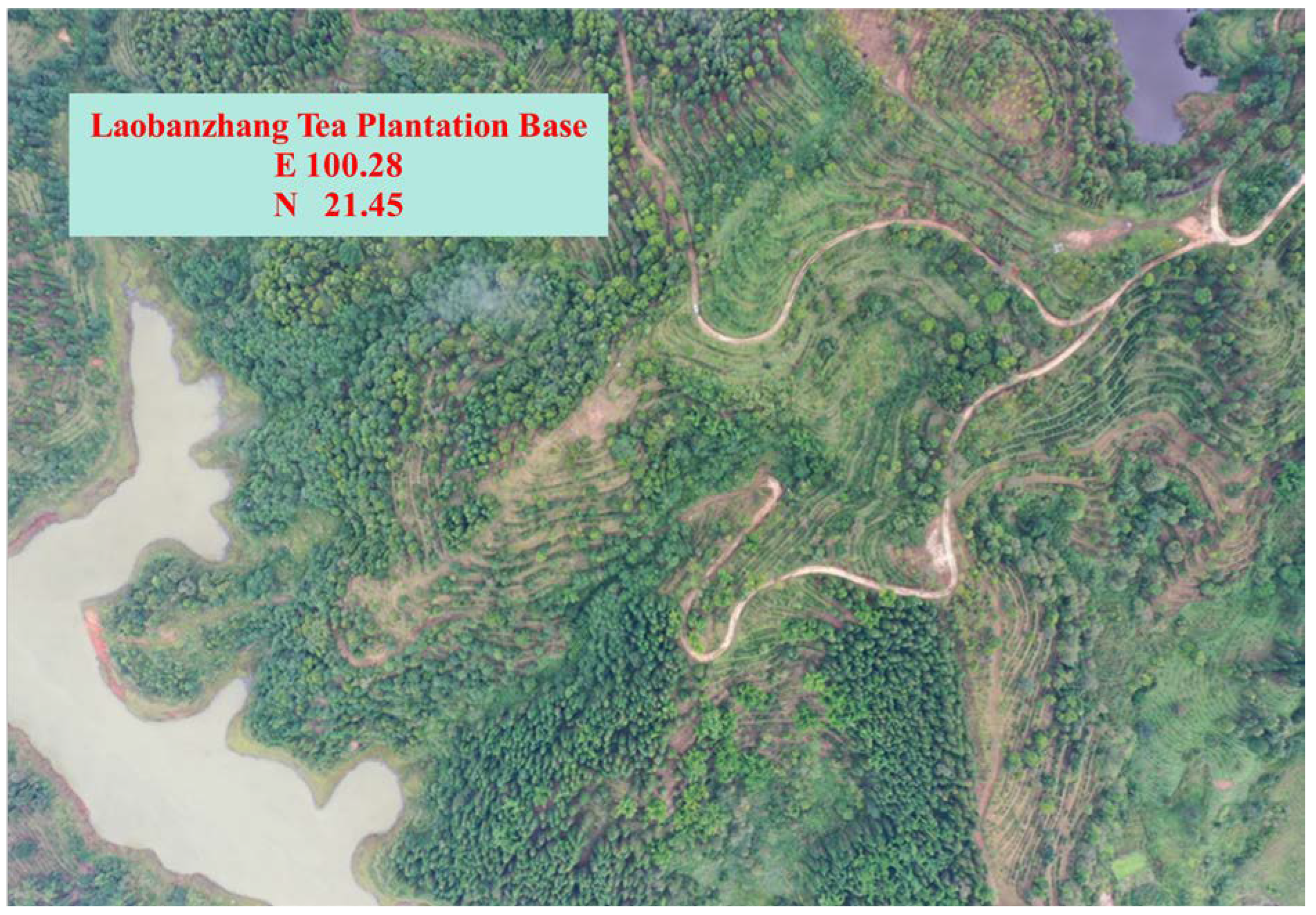 Agronomy 13 00577 g001