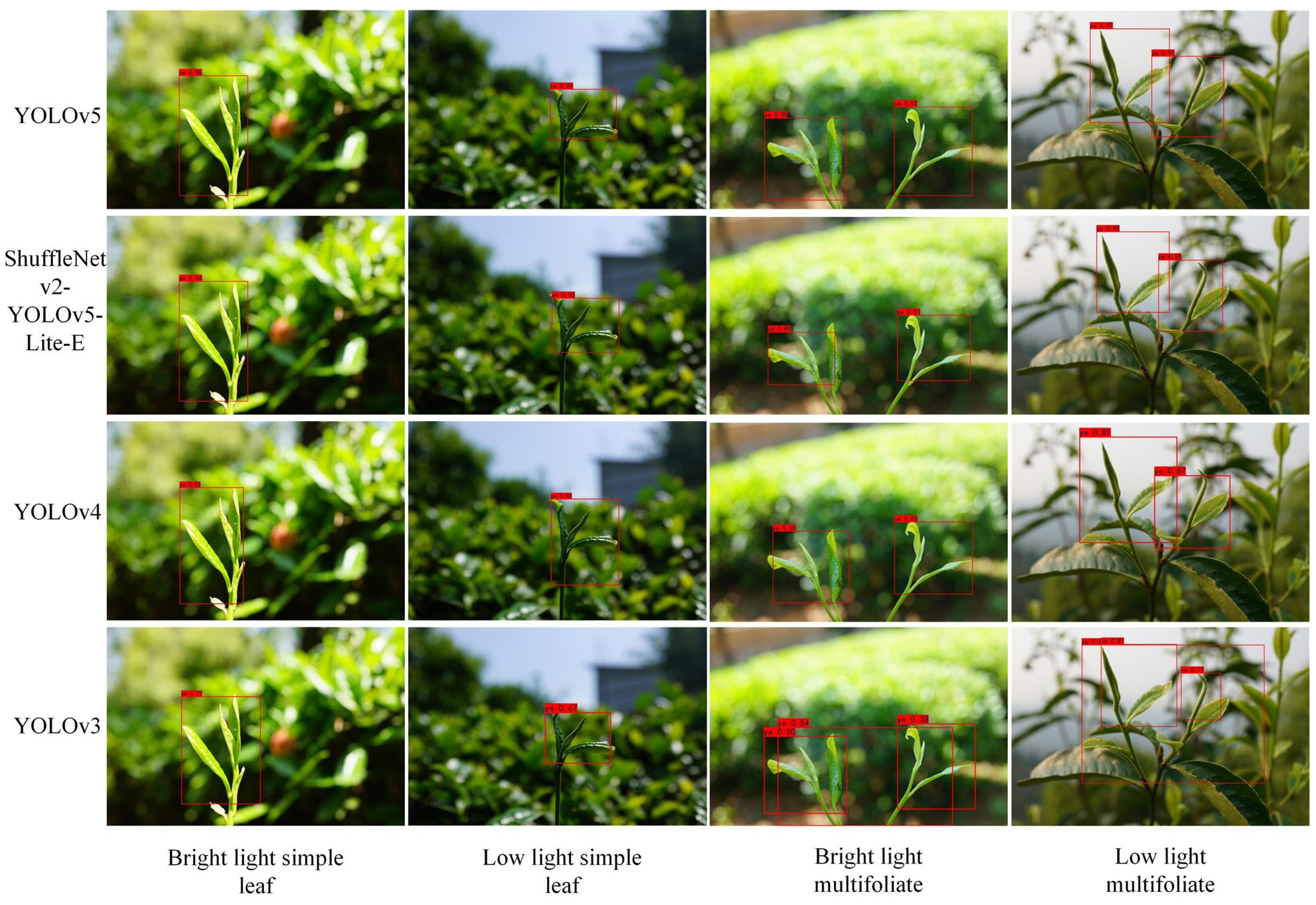 Agronomy 13 00577 g007