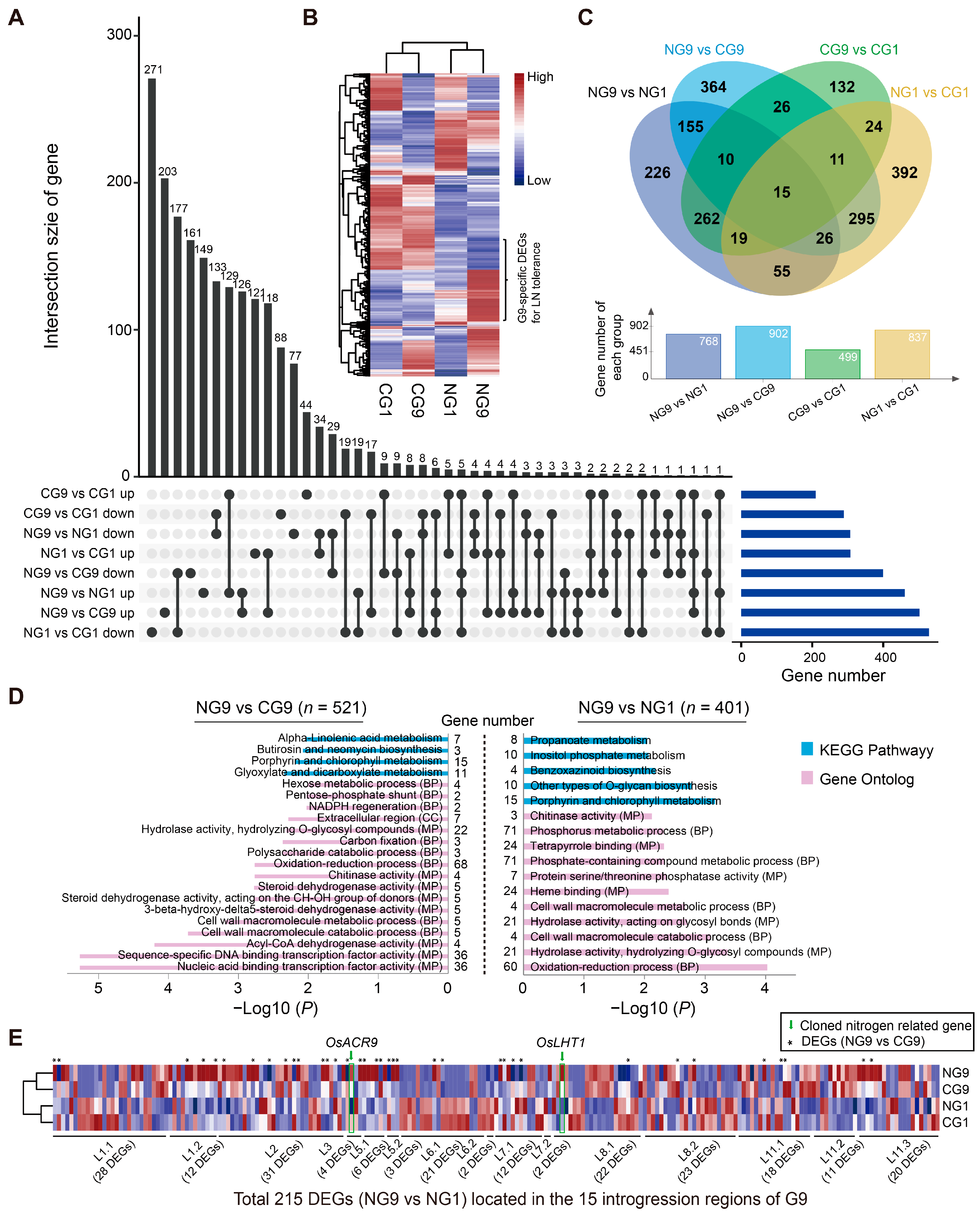 Agronomy 13 00578 g002 Agronomy 13 00578 g002