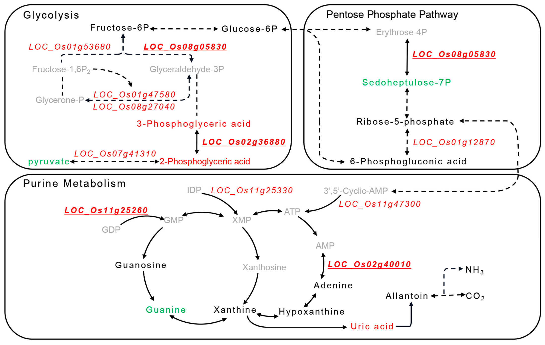 Agronomy 13 00578 g006 Agronomy 13 00578 g006