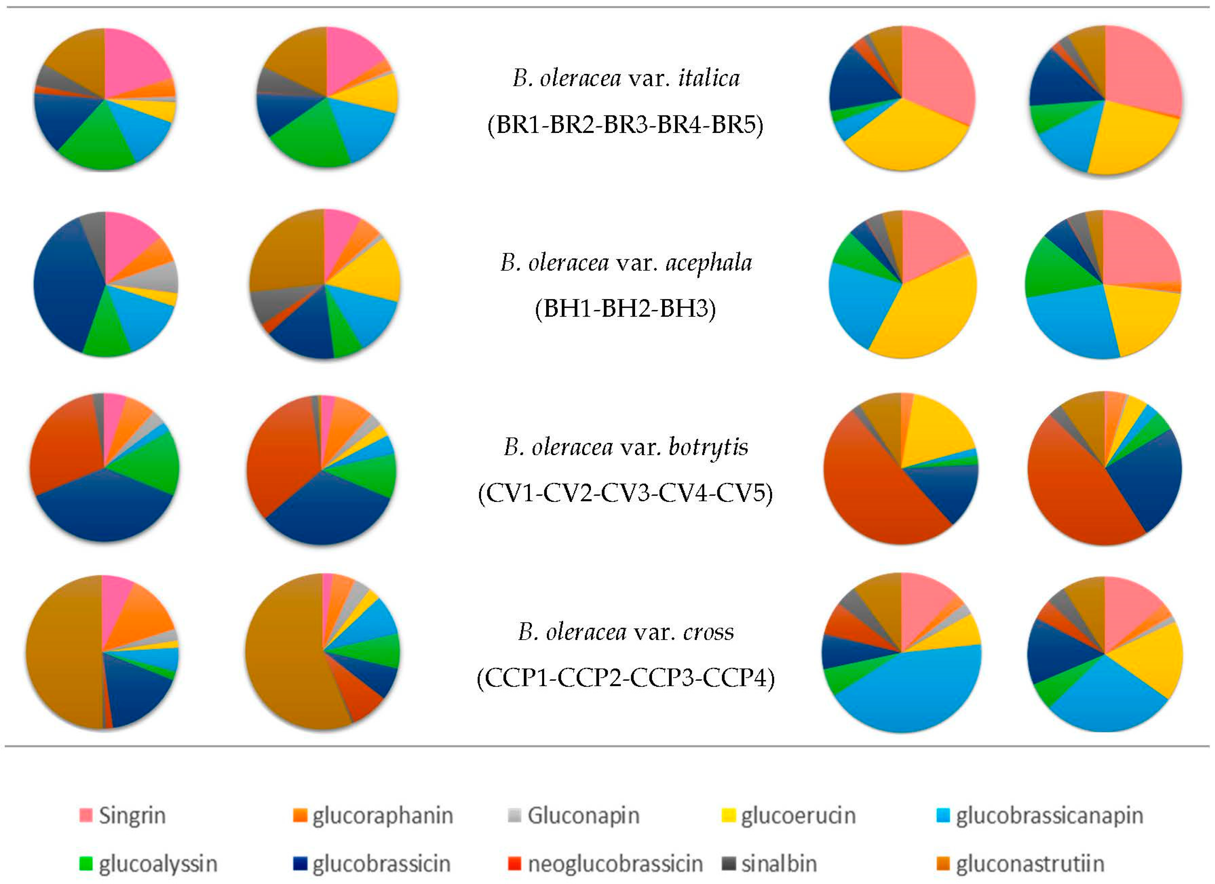 Agronomy 13 00579 g001