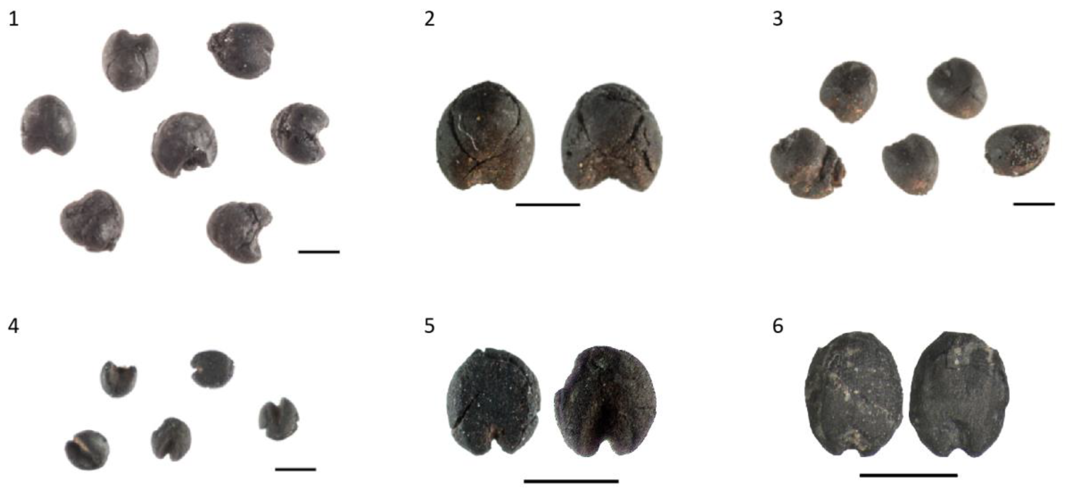 Agronomy 13 00584 g003