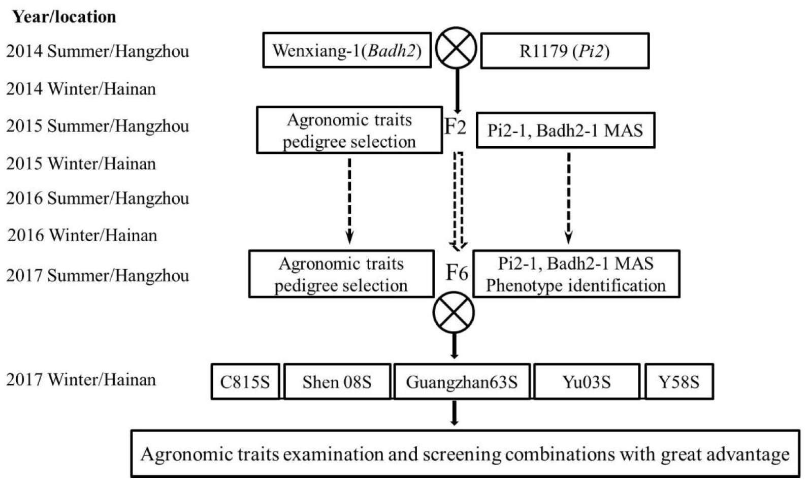 Agronomy 13 00589 g003