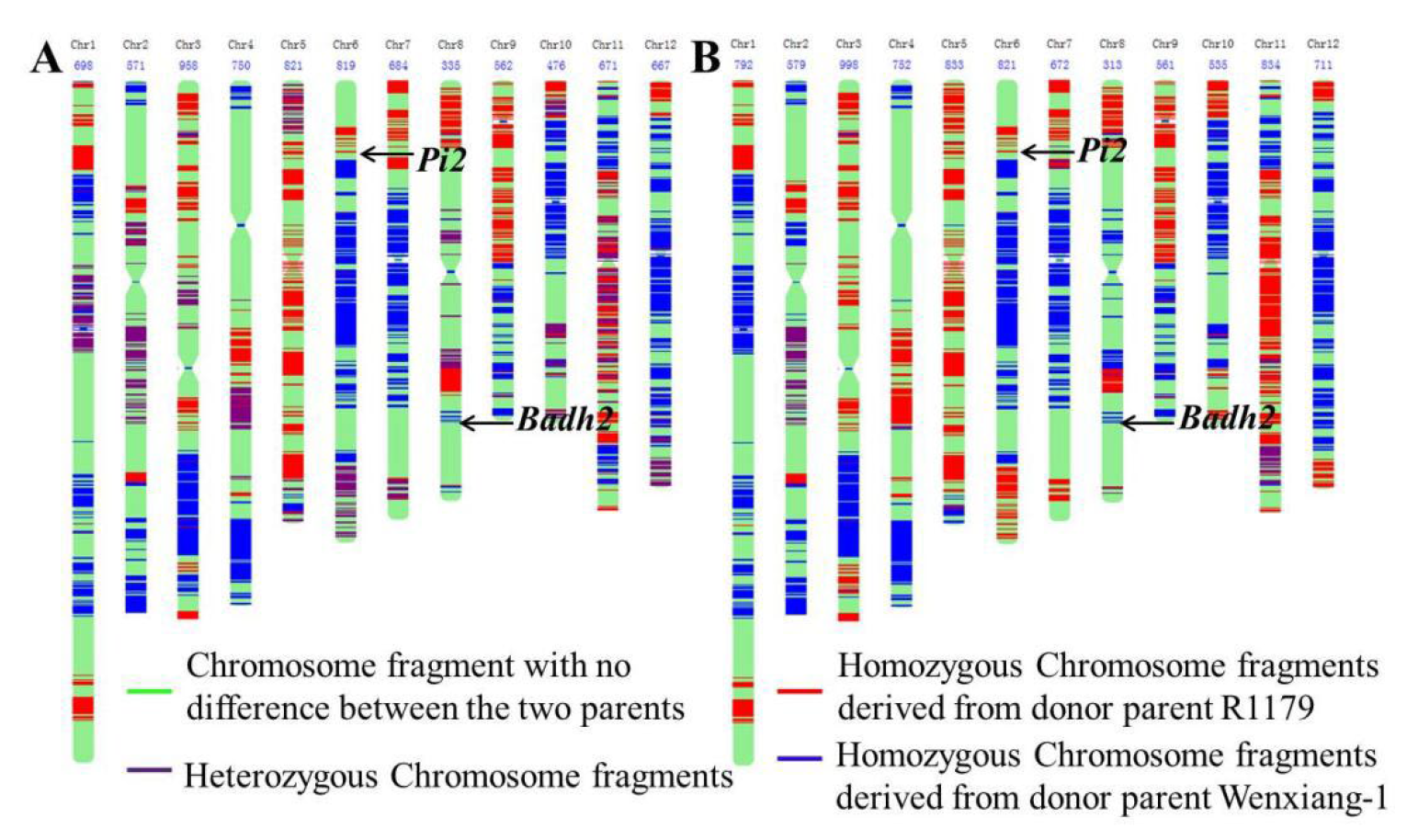 Agronomy 13 00589 g005