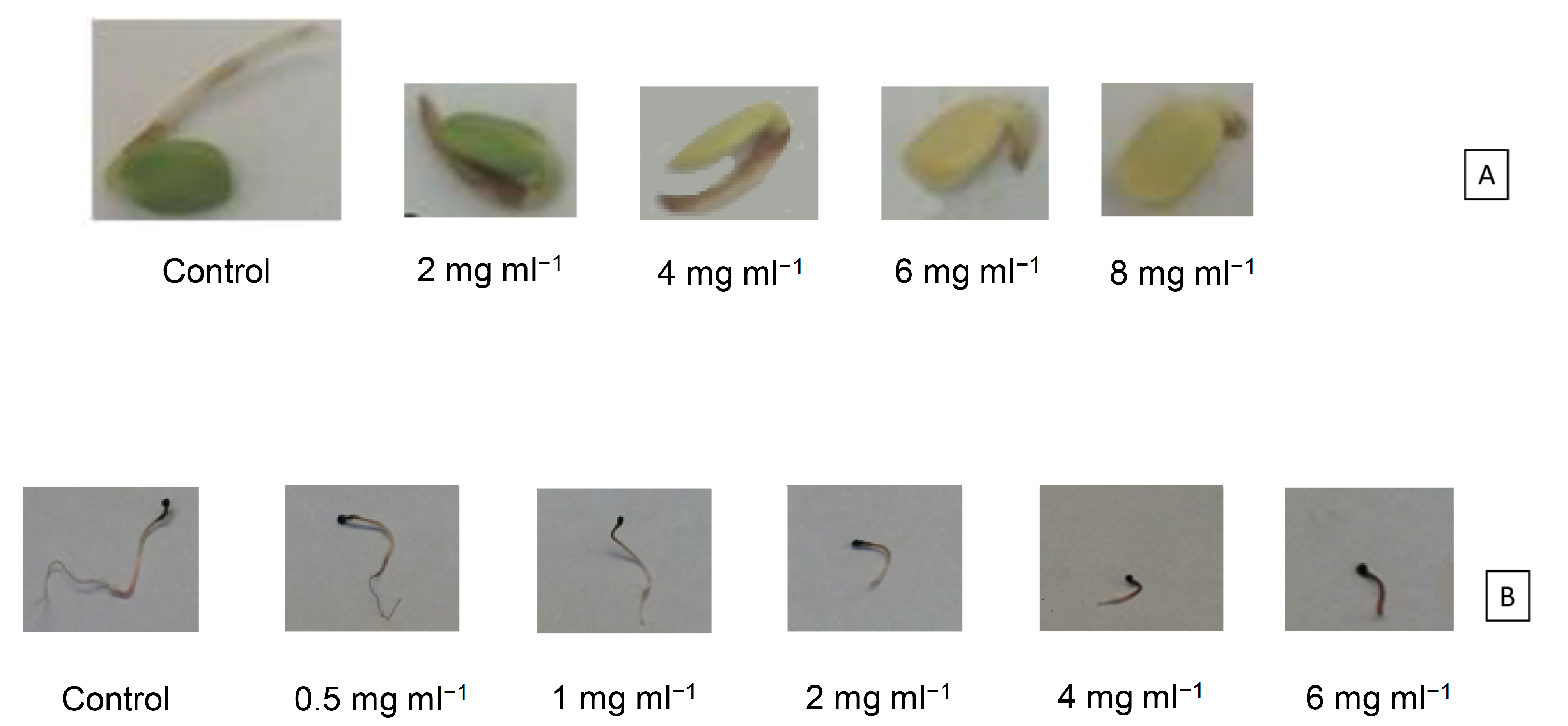Agronomy 13 00590 g004