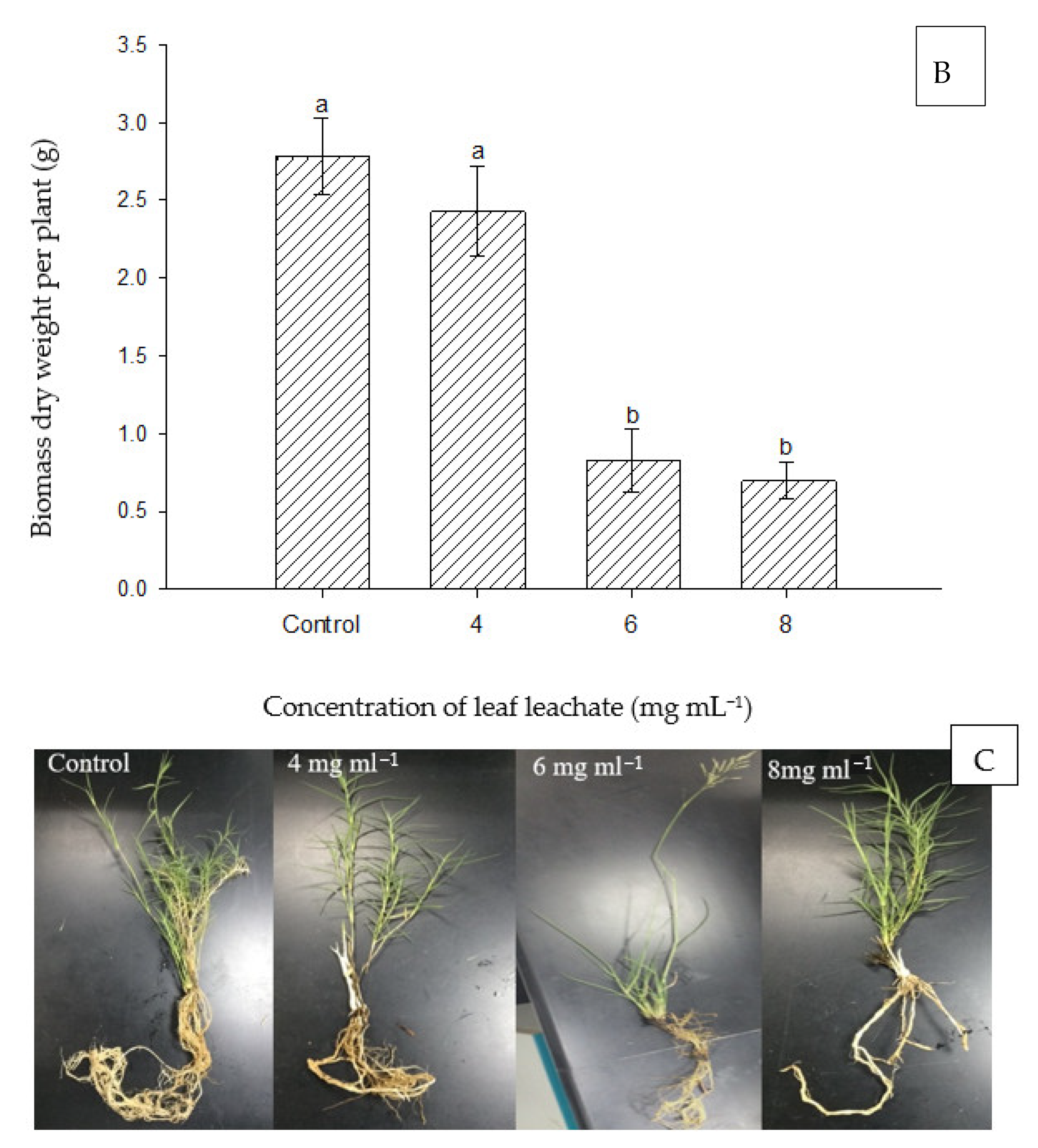 Agronomy 13 00590 g007b