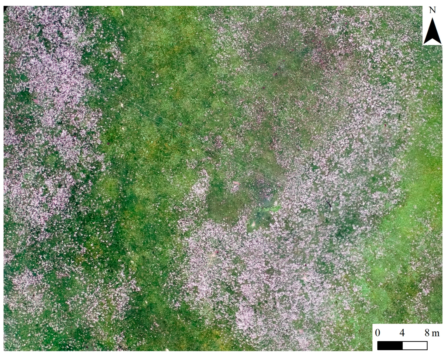 Agronomy 13 00593 g001