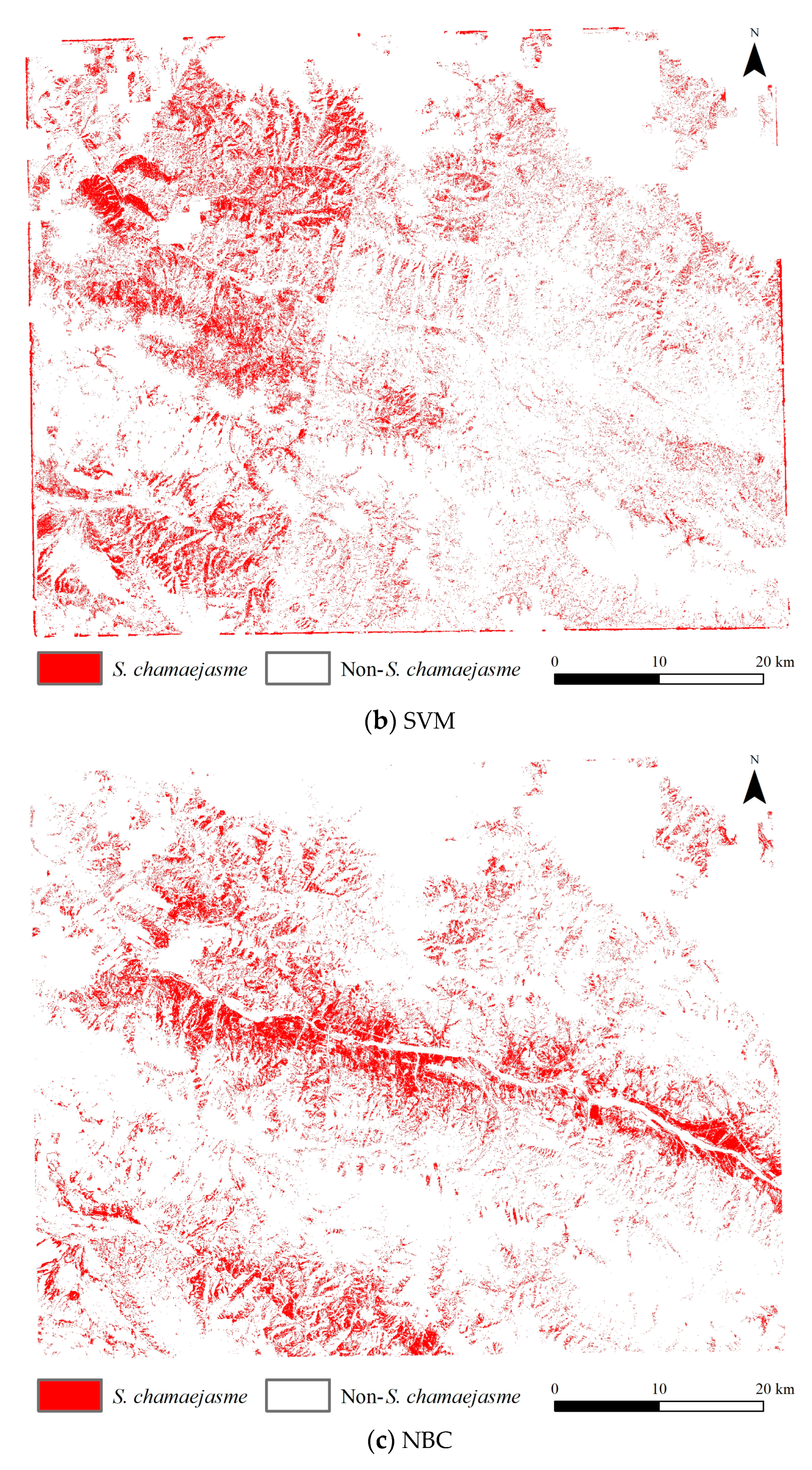 Agronomy 13 00593 g007b