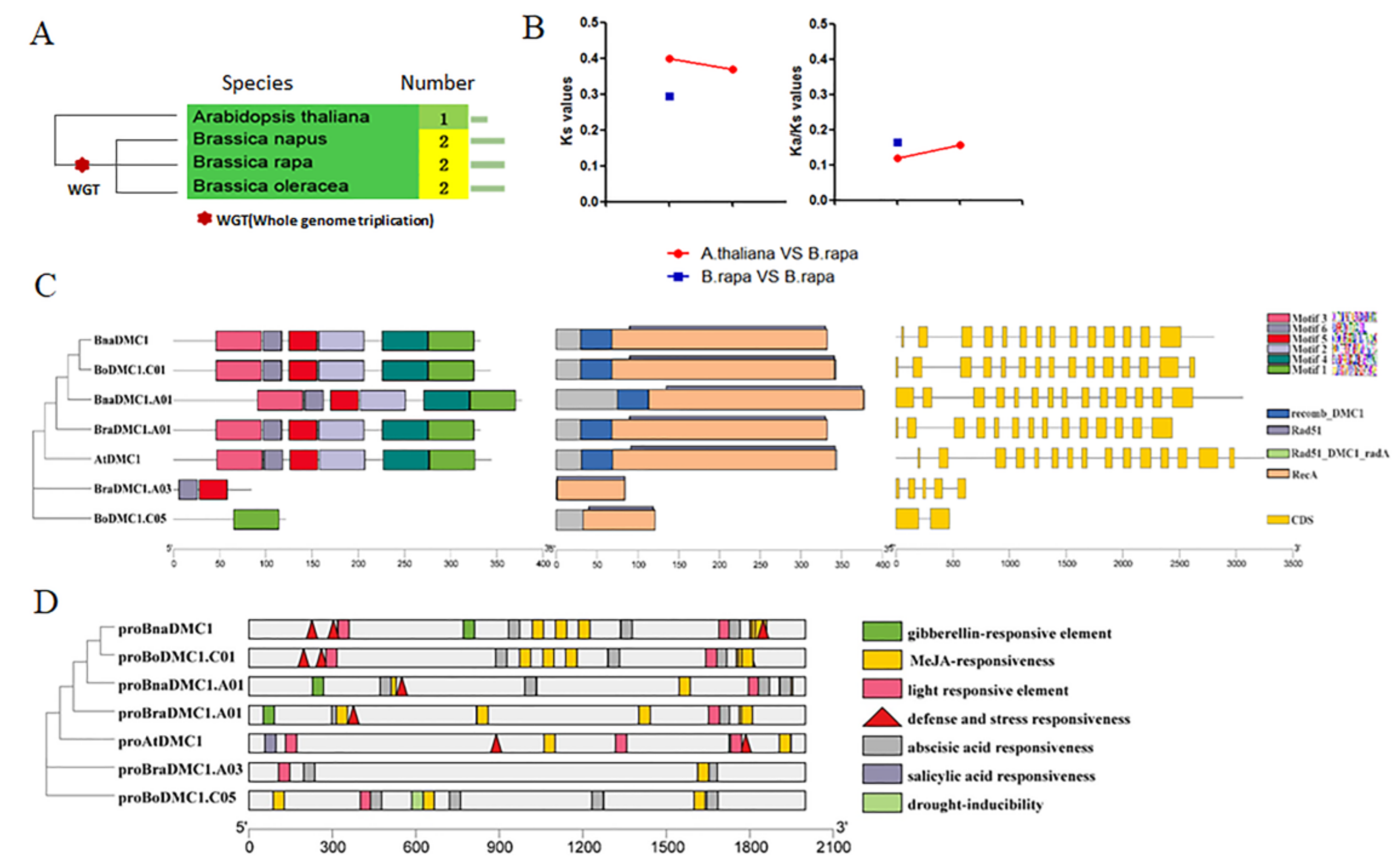 Agronomy 13 00595 g001