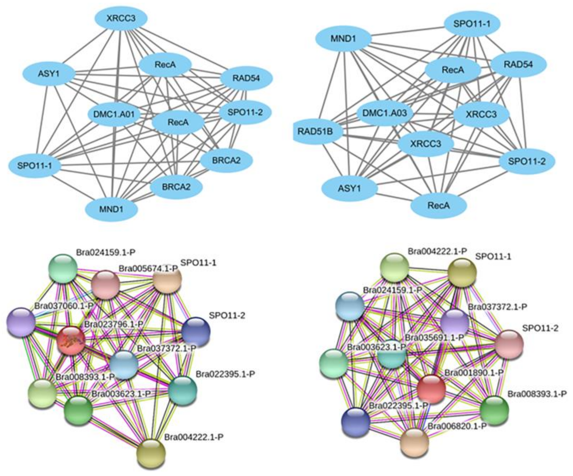 Agronomy 13 00595 g002