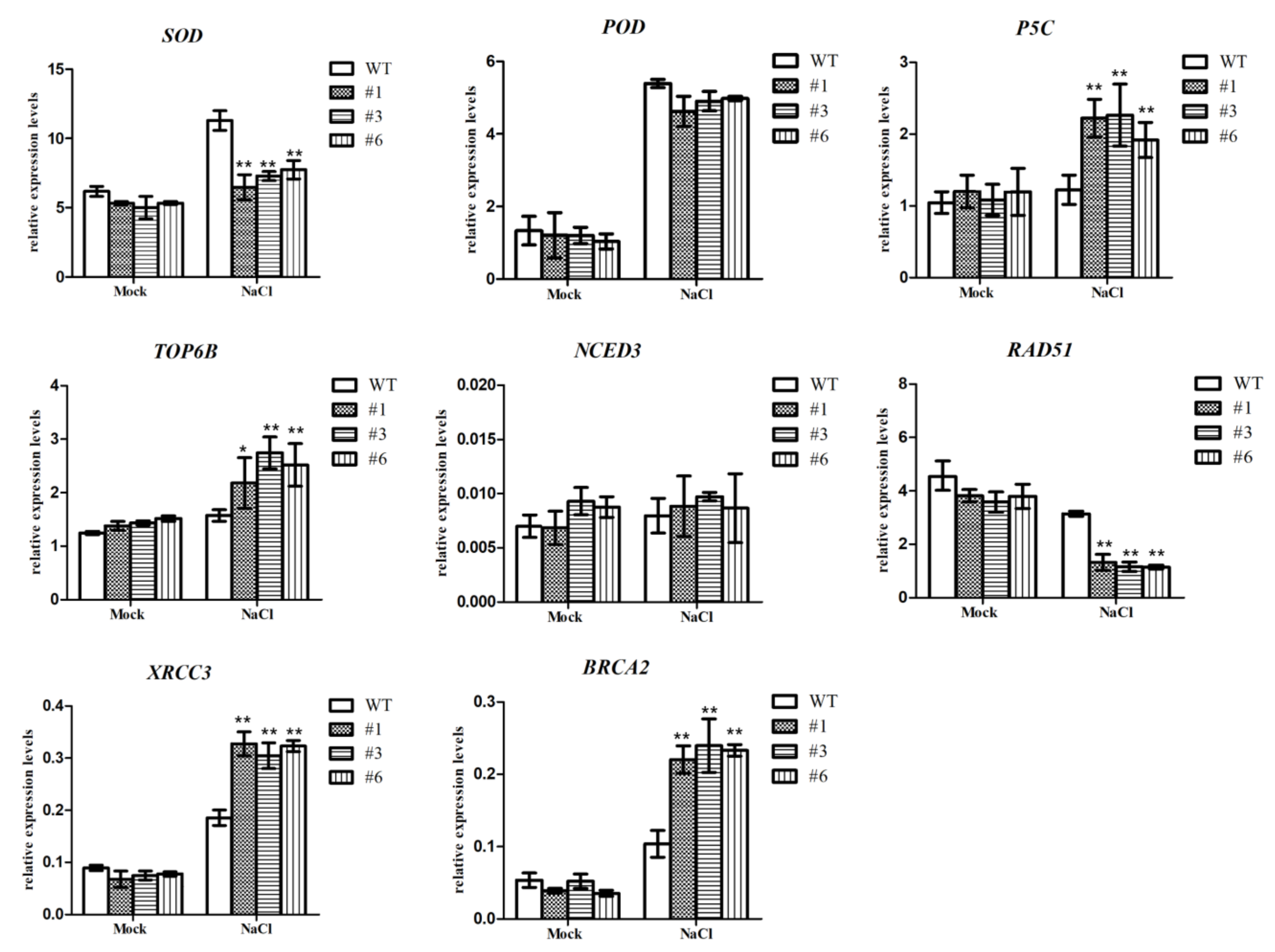 Agronomy 13 00595 g007
