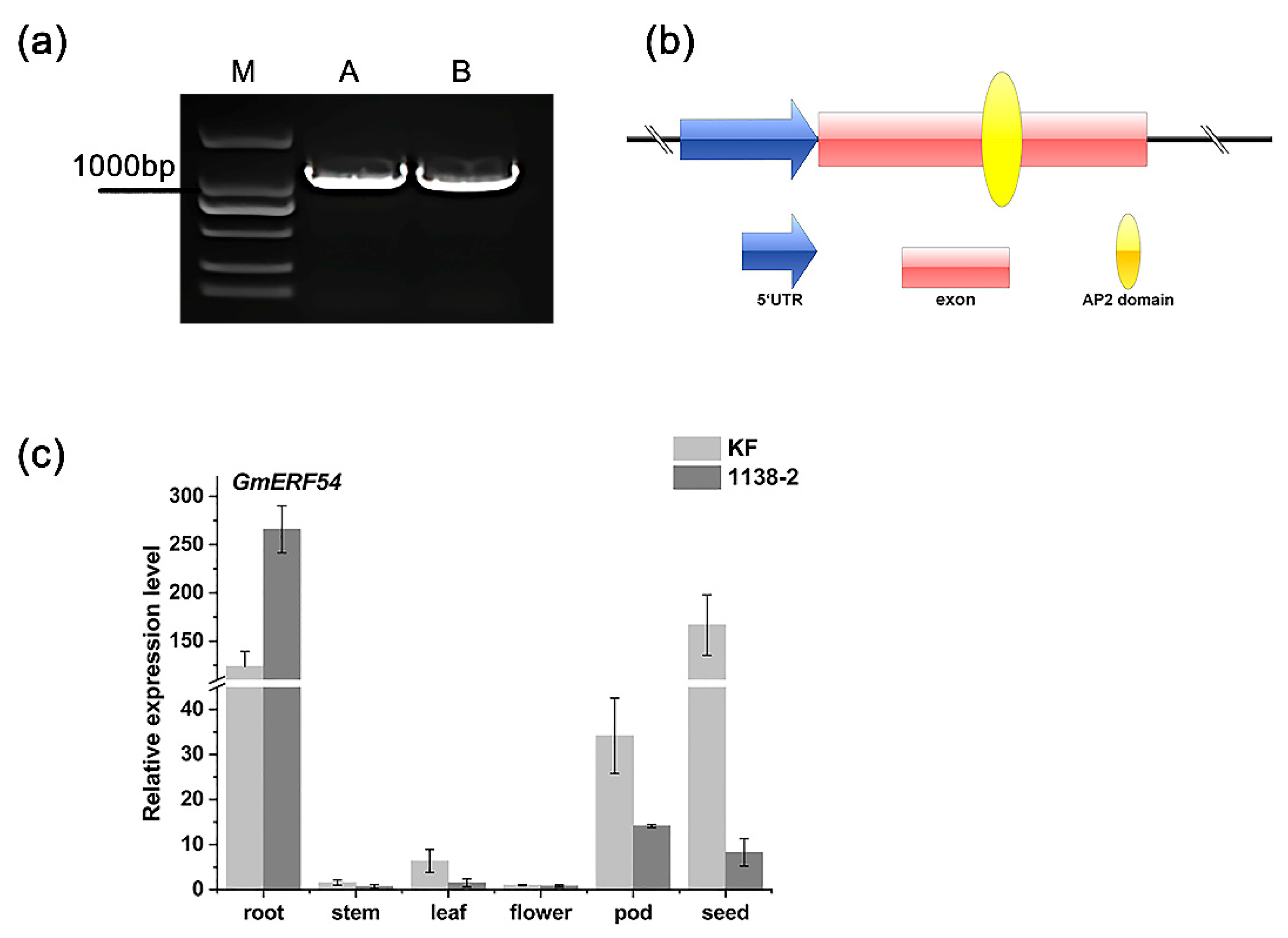 Agronomy 13 00596 g002 Agronomy 13 00596 g002