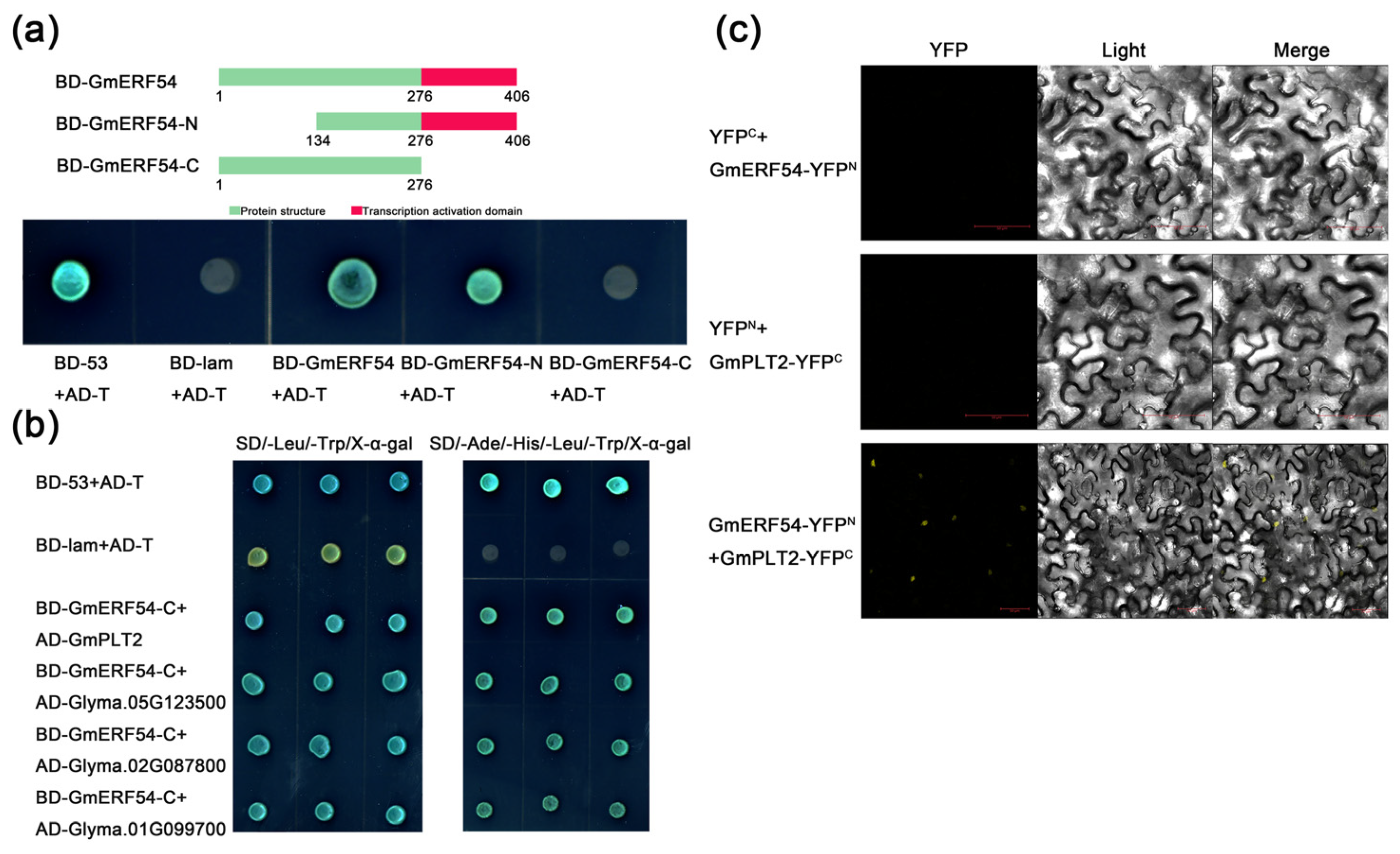 Agronomy 13 00596 g005 Agronomy 13 00596 g005
