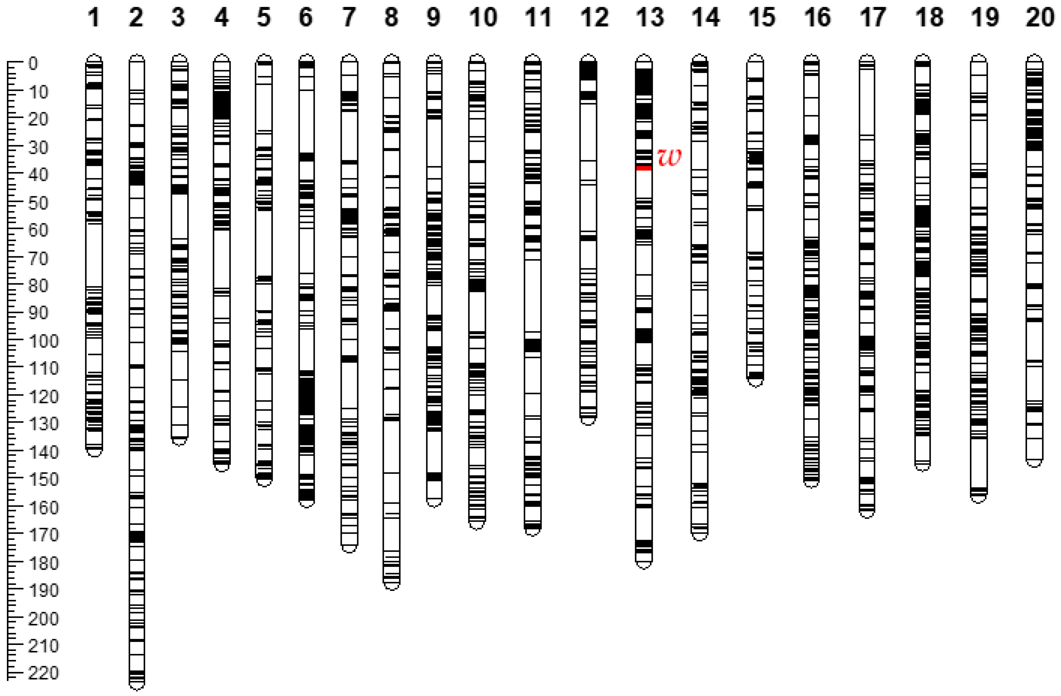 Agronomy 13 00598 g003