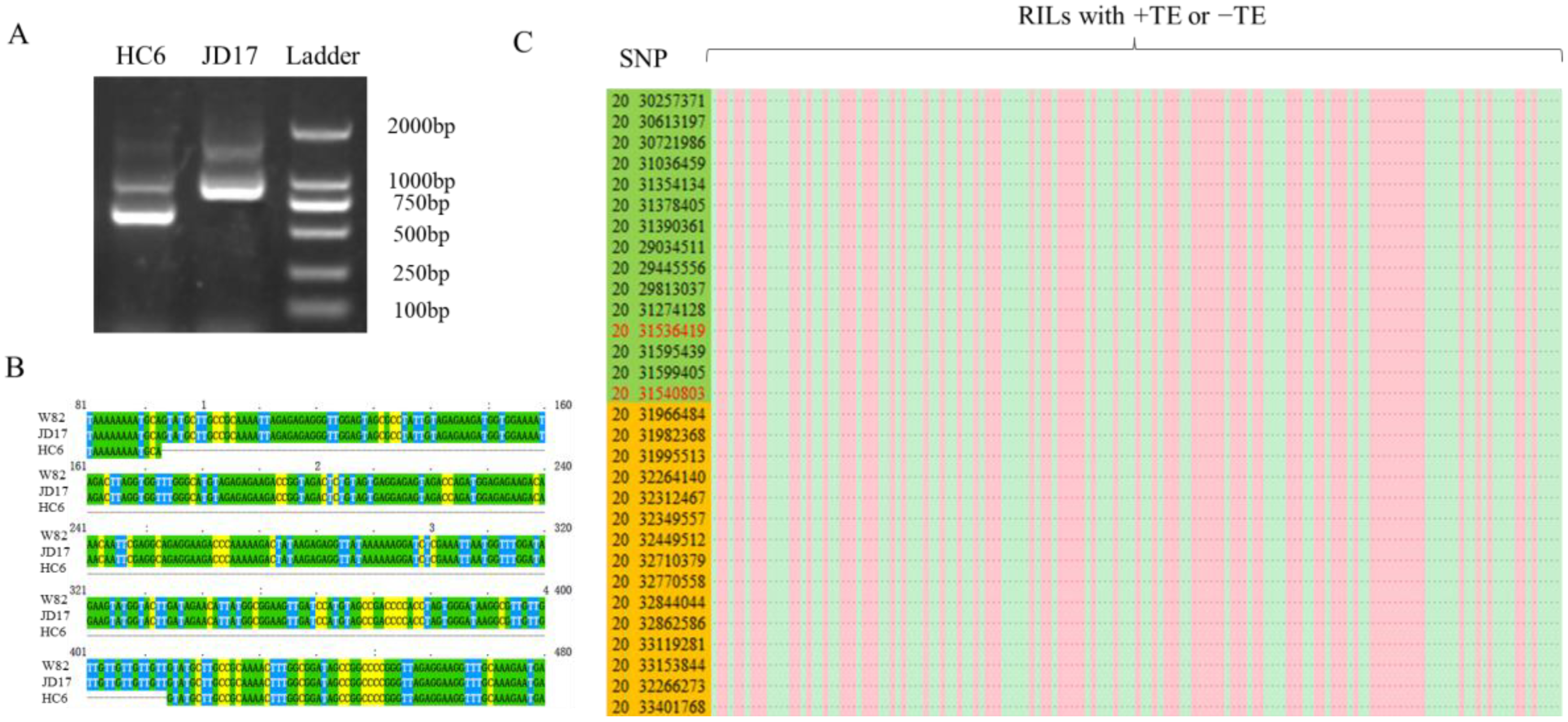 Agronomy 13 00598 g005