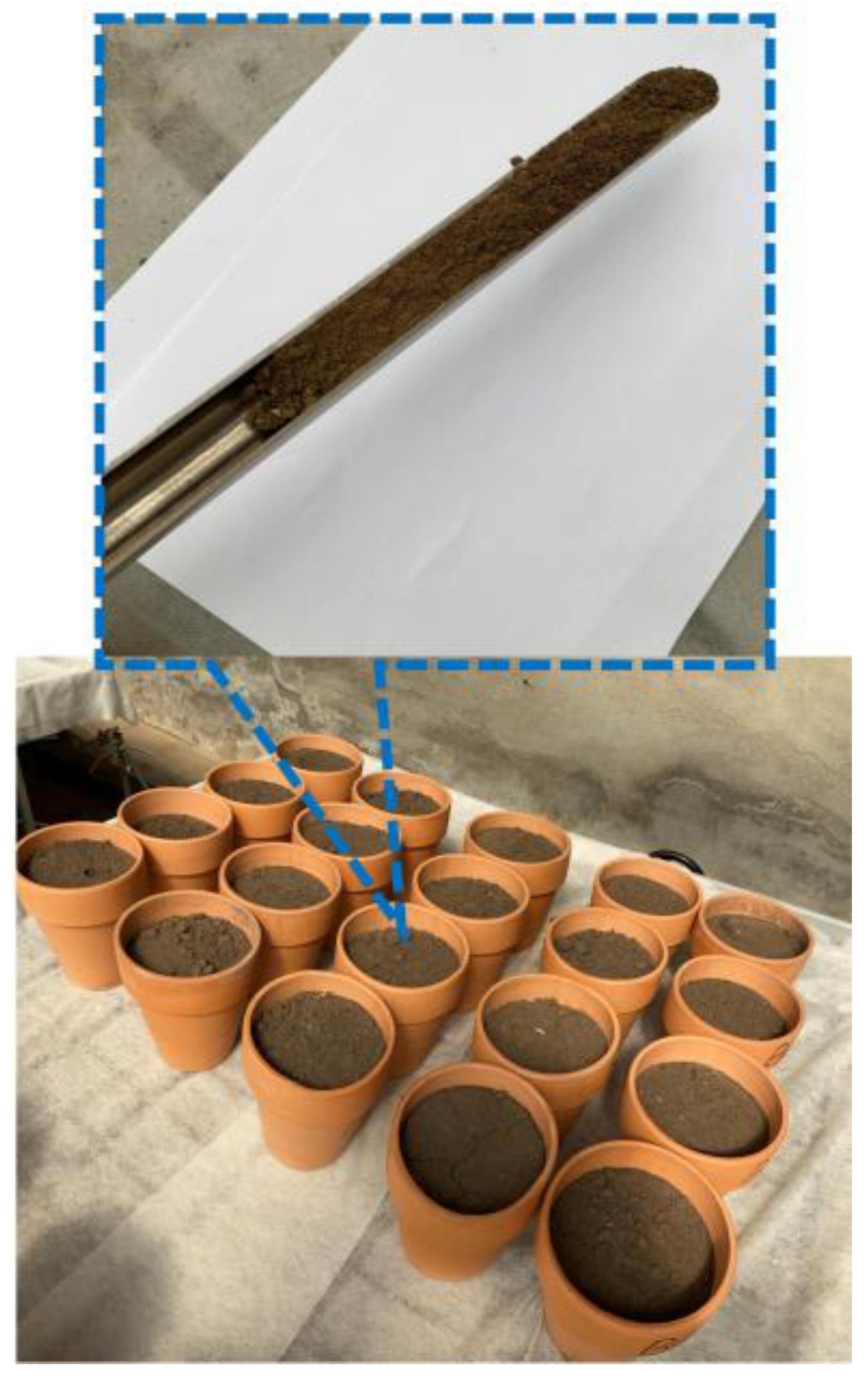 Agronomy 13 00600 g002 Agronomy 13 00600 g002