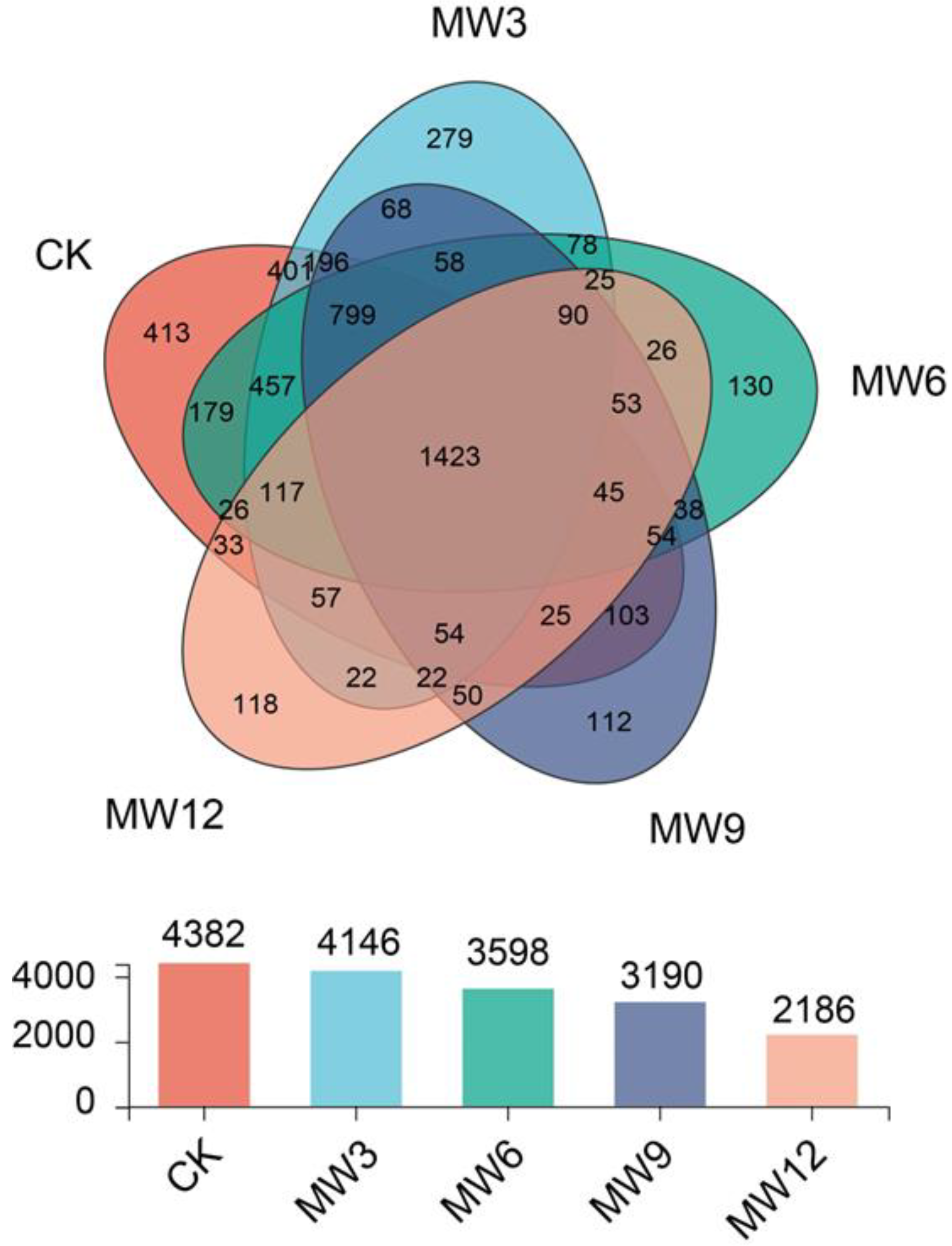 Agronomy 13 00600 g003 Agronomy 13 00600 g003