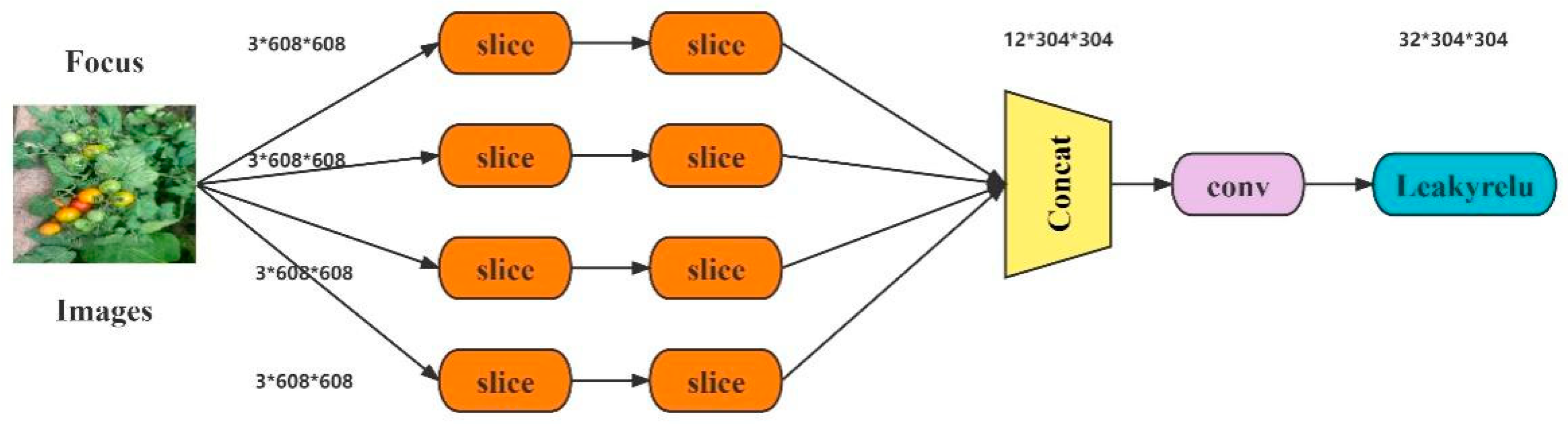 Agronomy 13 00603 g006