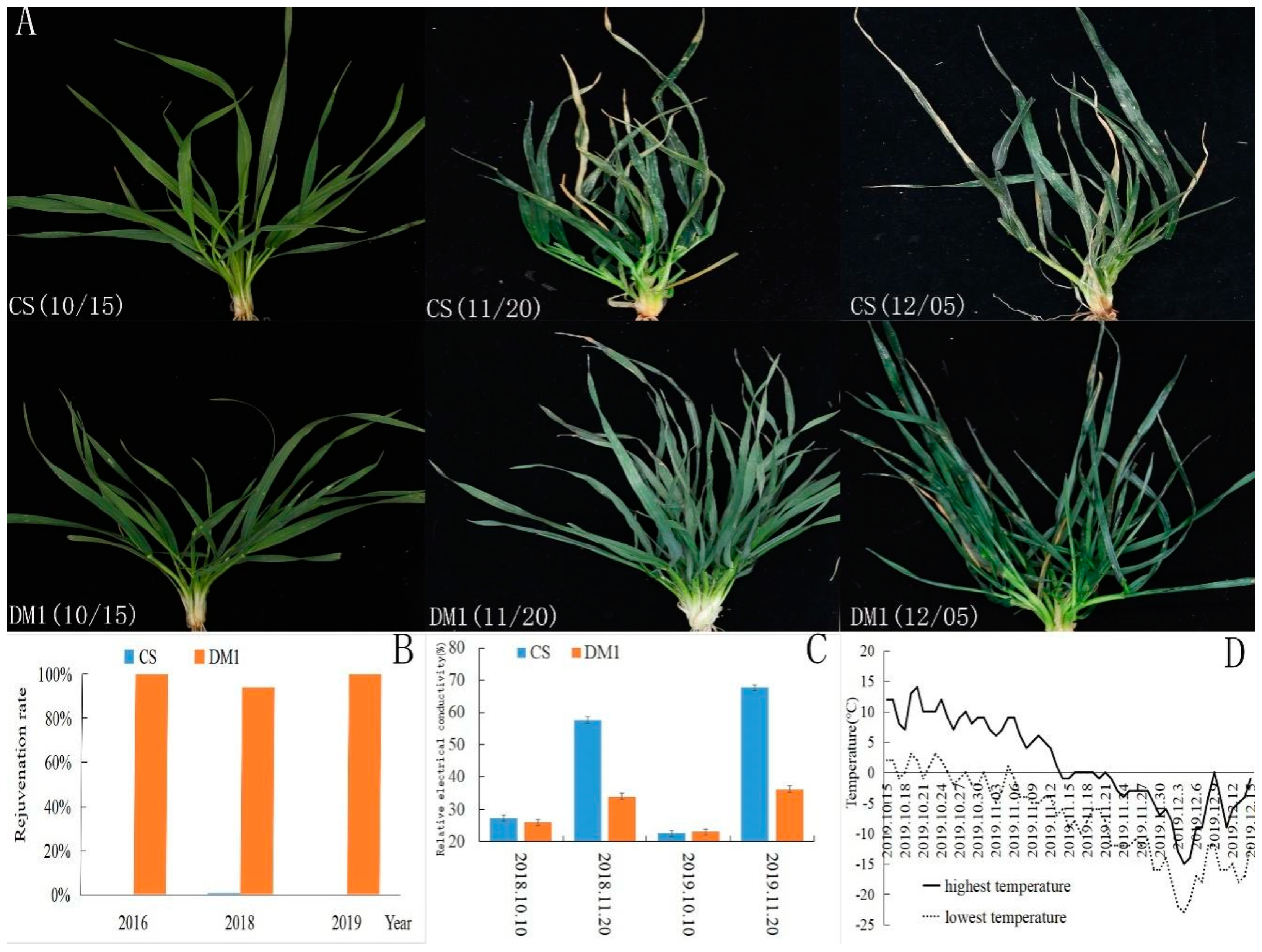 Agronomy 13 00605 g001