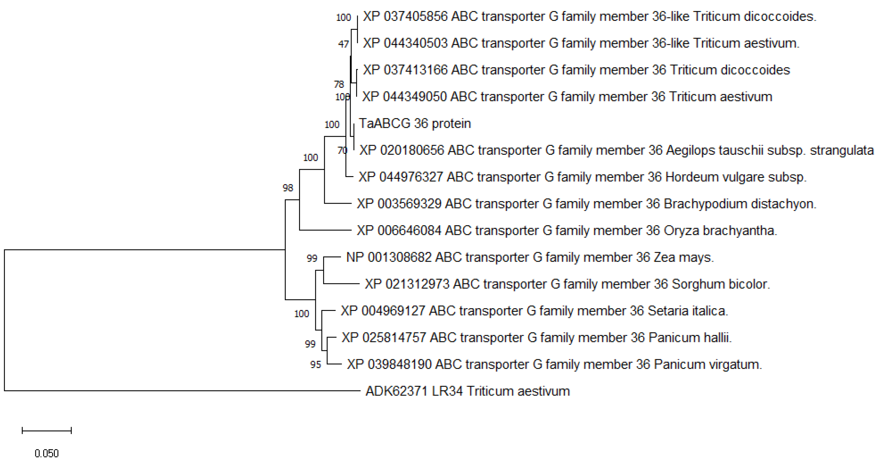 Agronomy 13 00607 g001