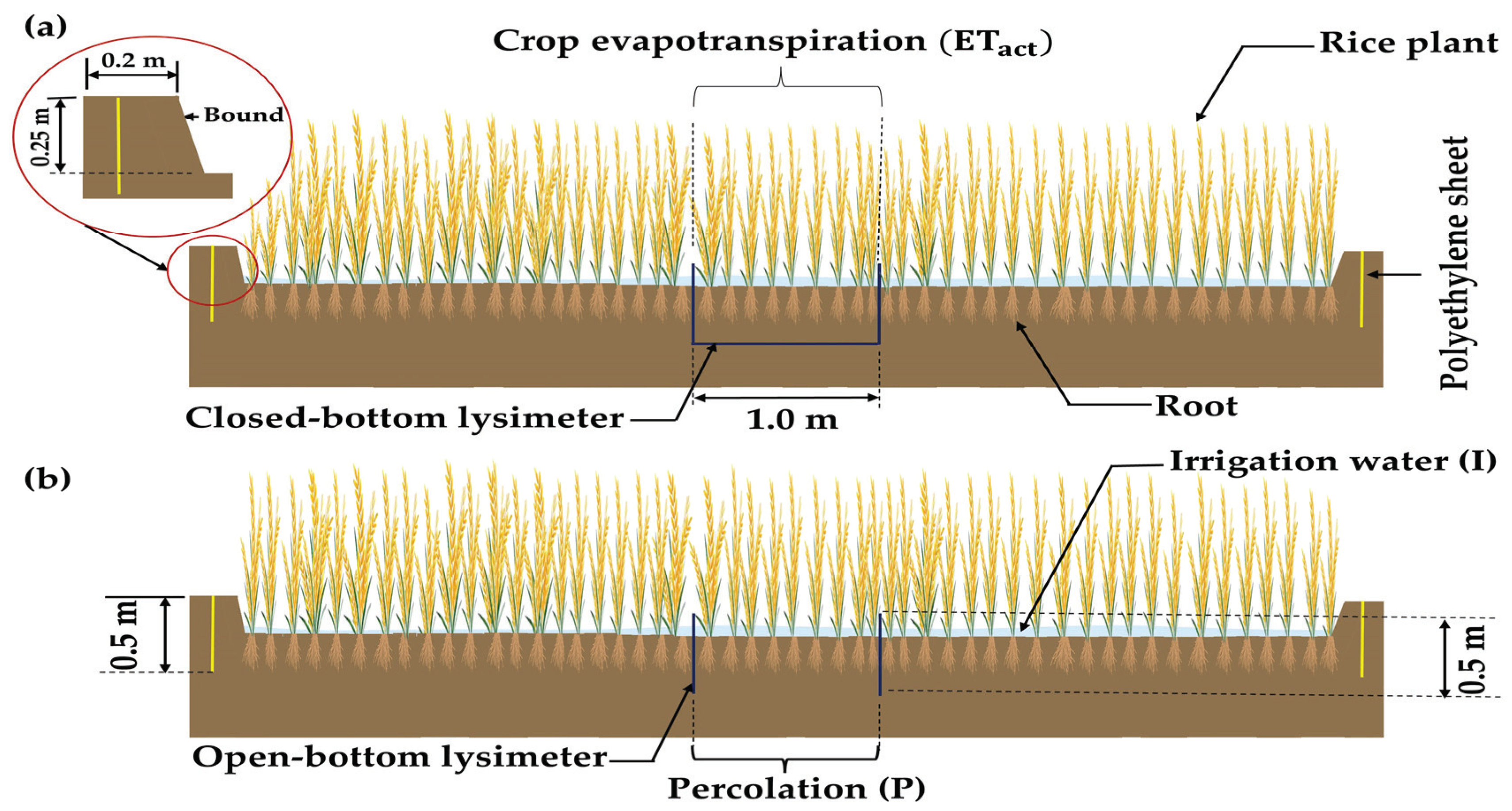 Agronomy 13 00609 g005