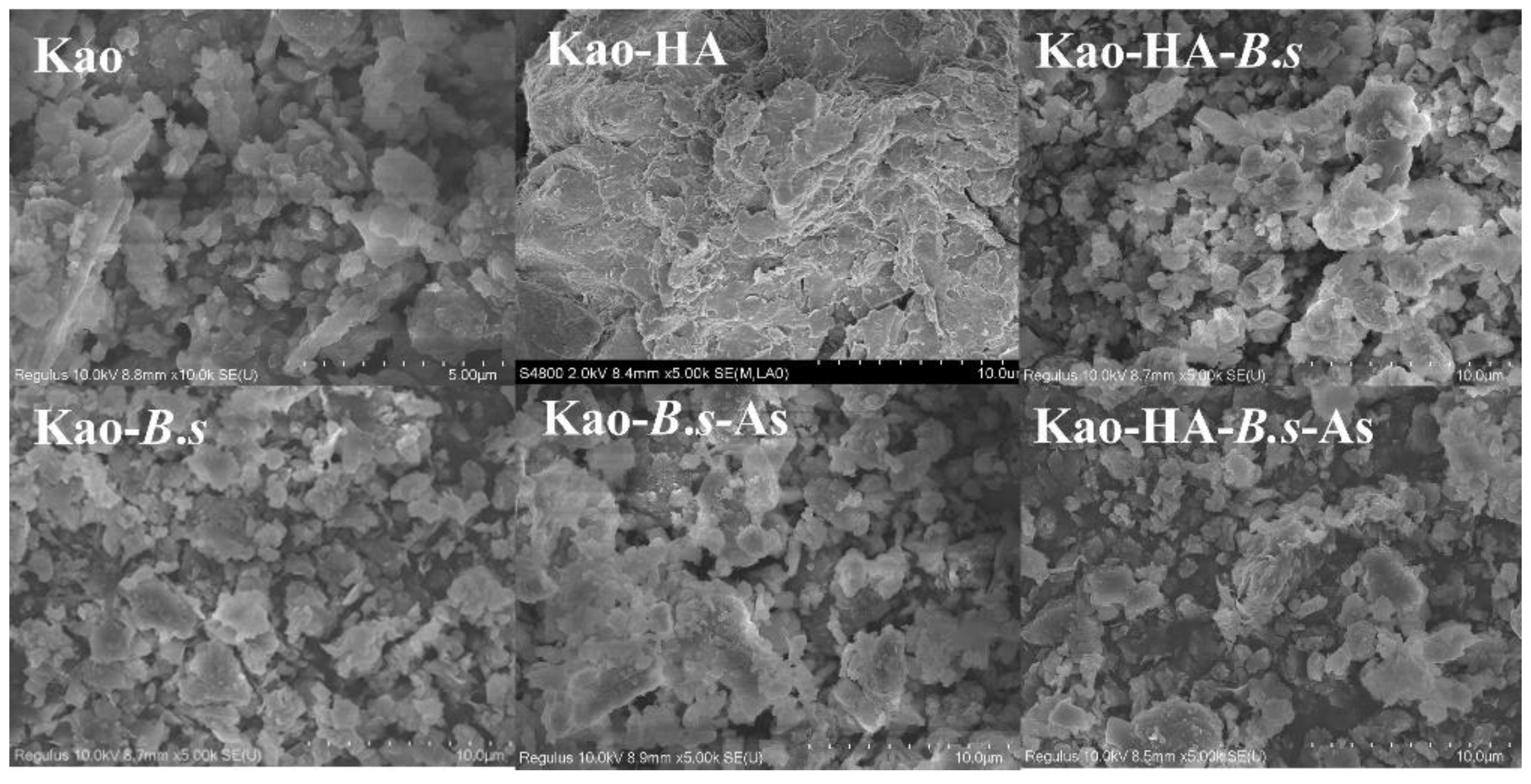 Agronomy 13 00611 g007