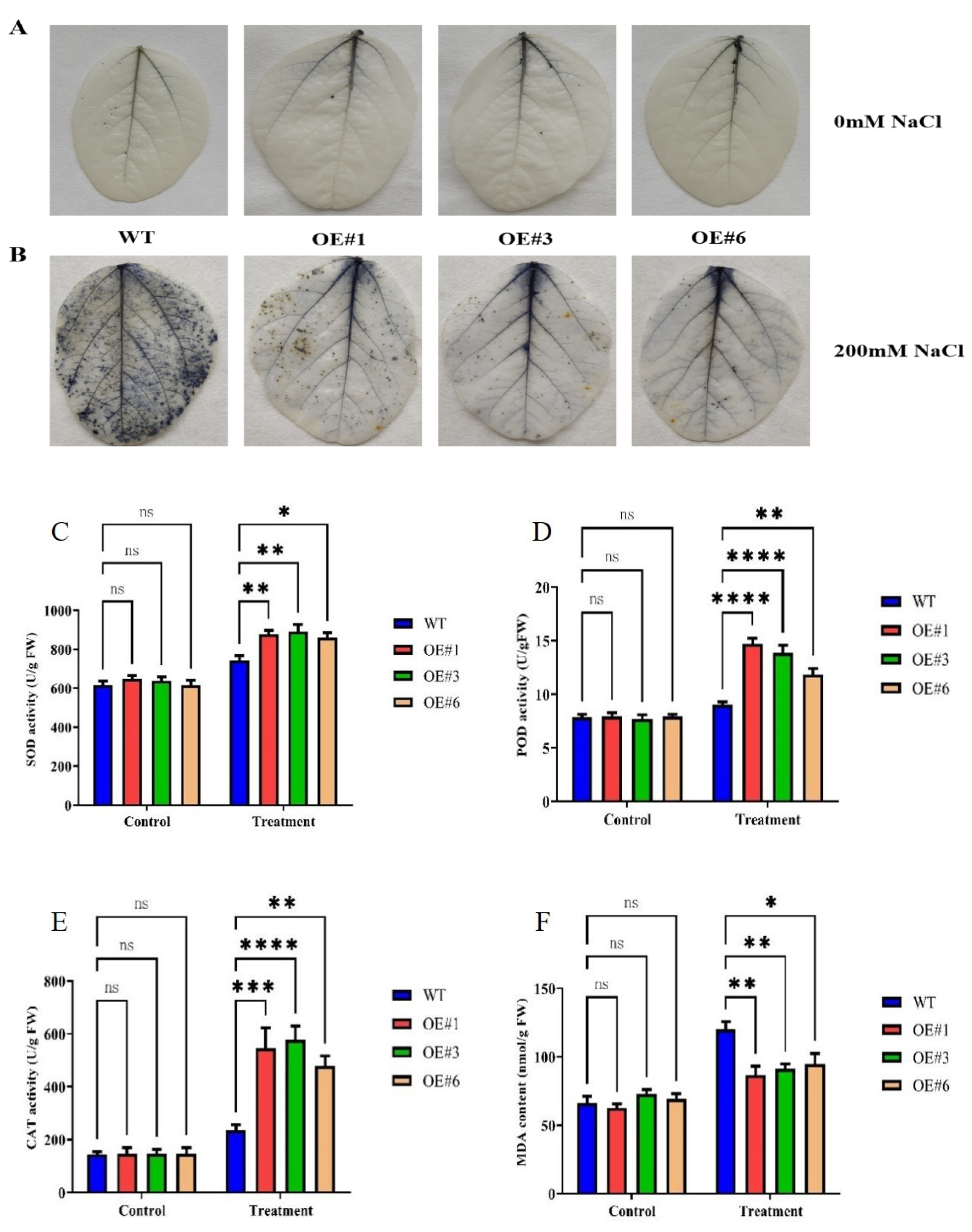 Agronomy 13 00613 g002 Agronomy 13 00613 g002