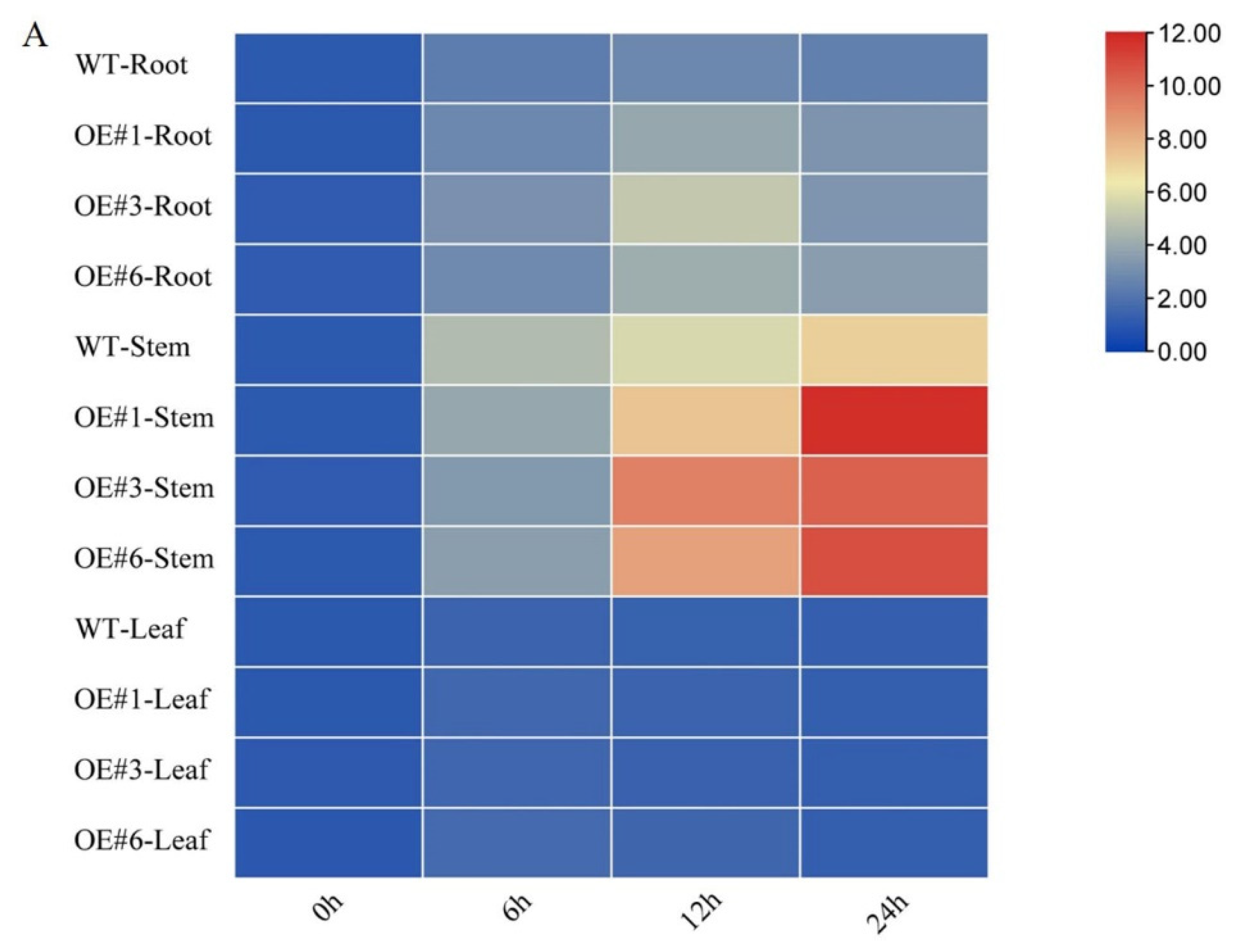 Agronomy 13 00613 g004a Agronomy 13 00613 g004a