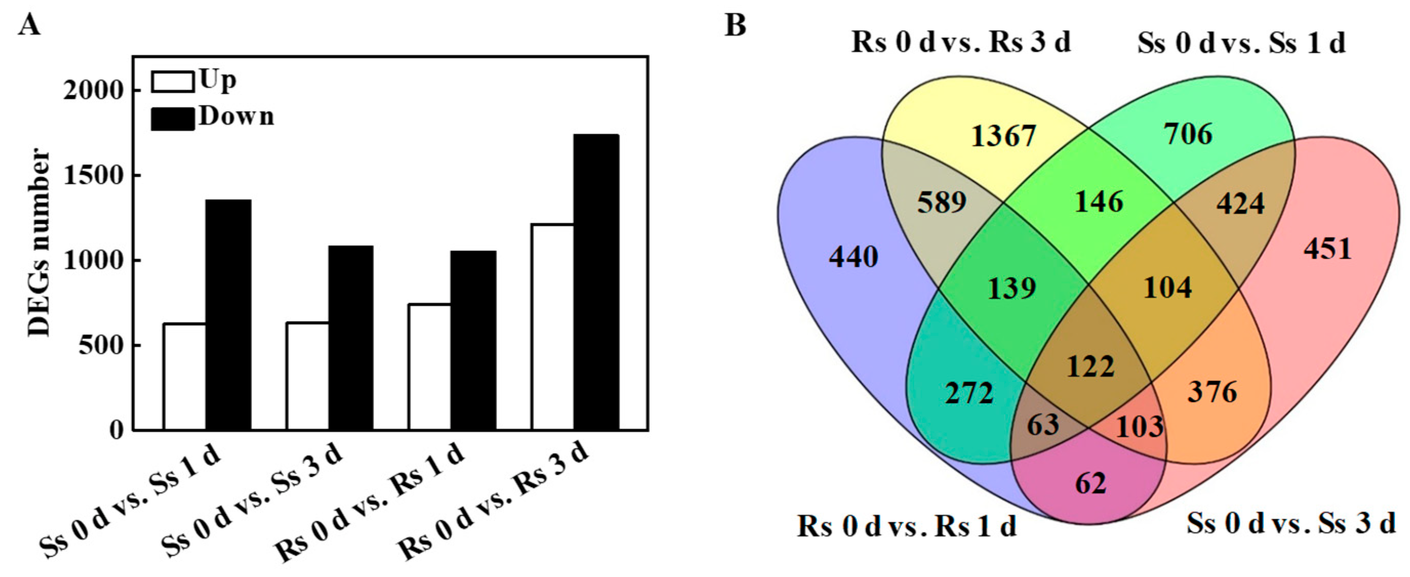 Agronomy 13 00618 g002