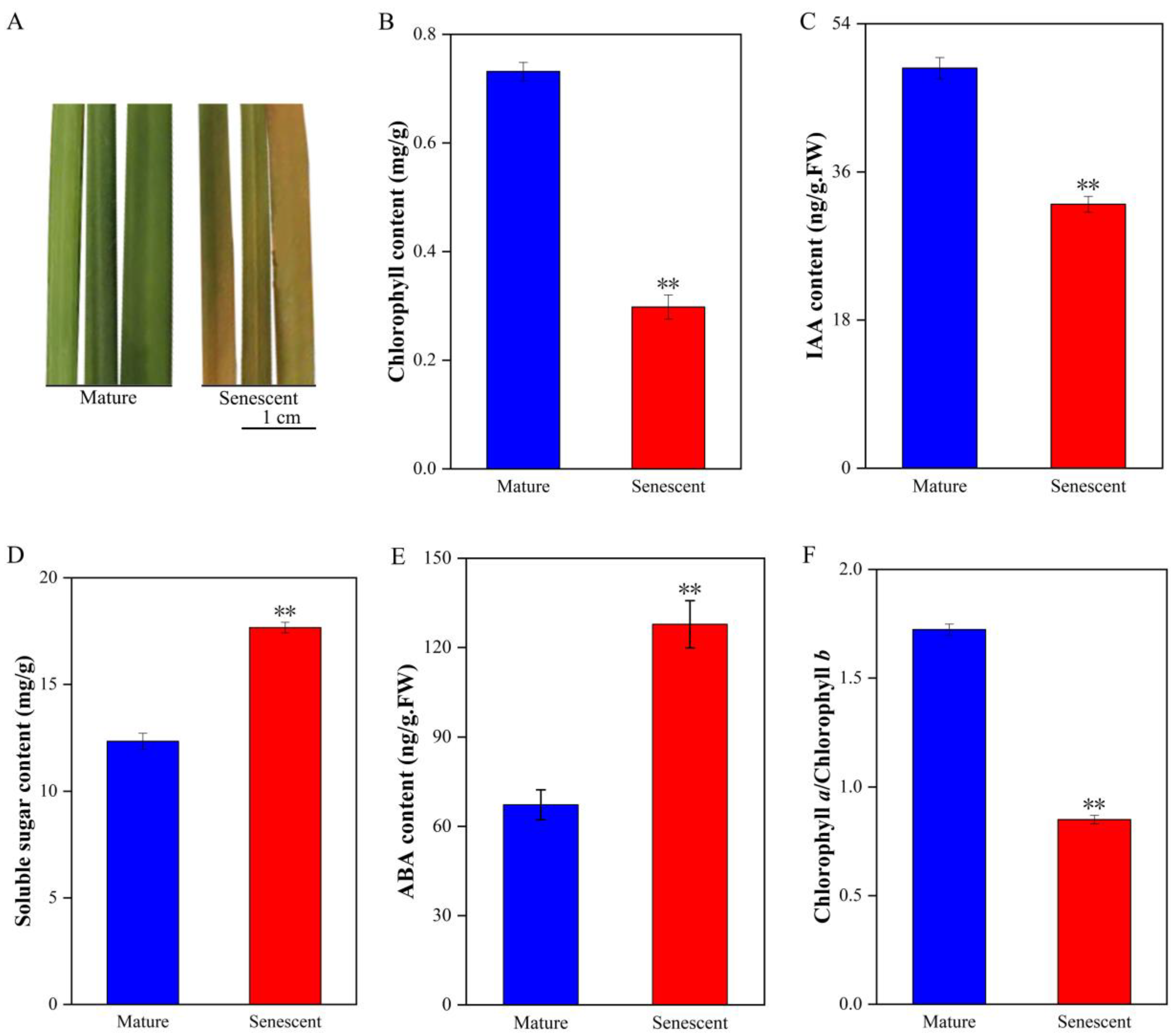 Agronomy 13 00623 g001