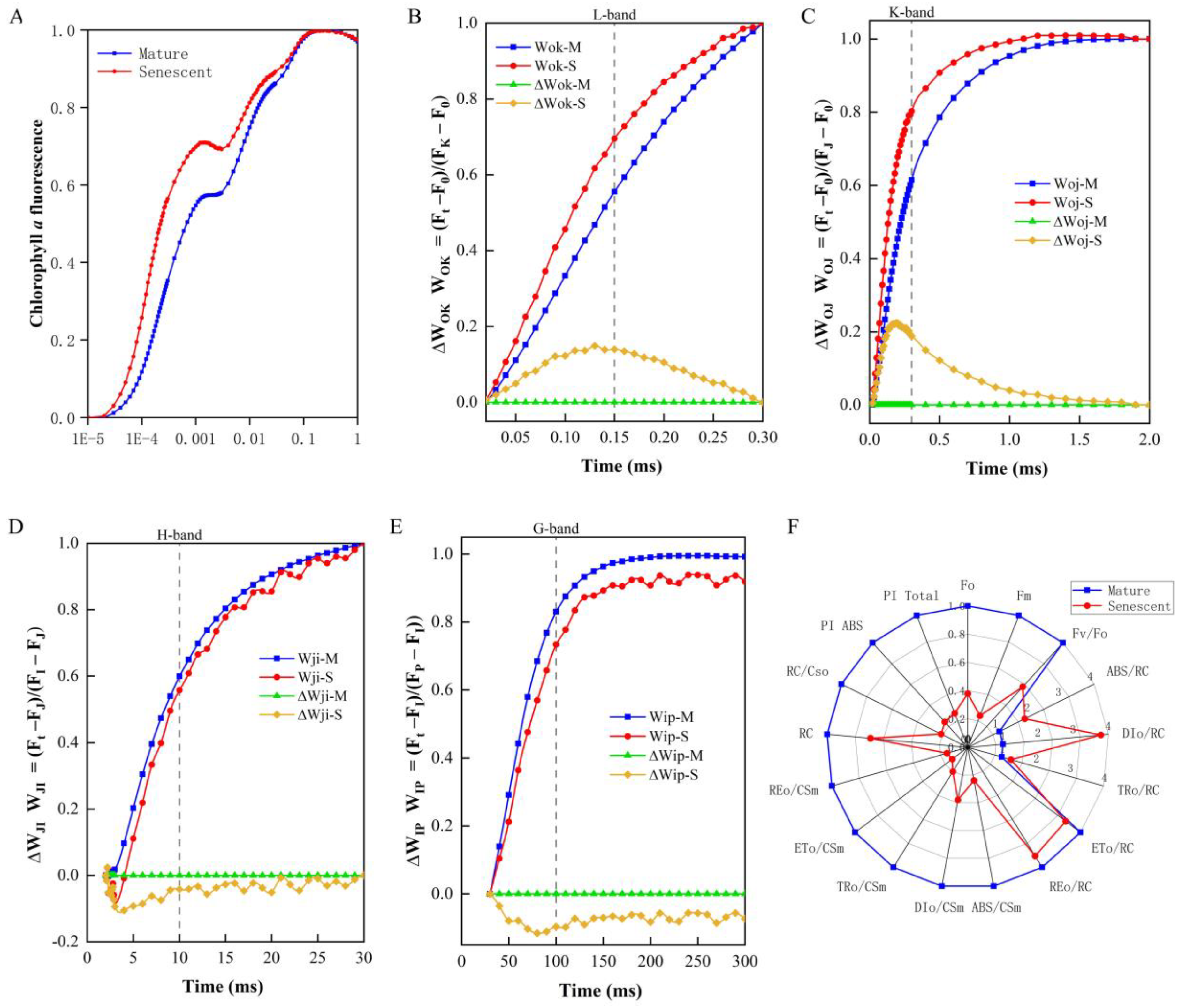 Agronomy 13 00623 g003