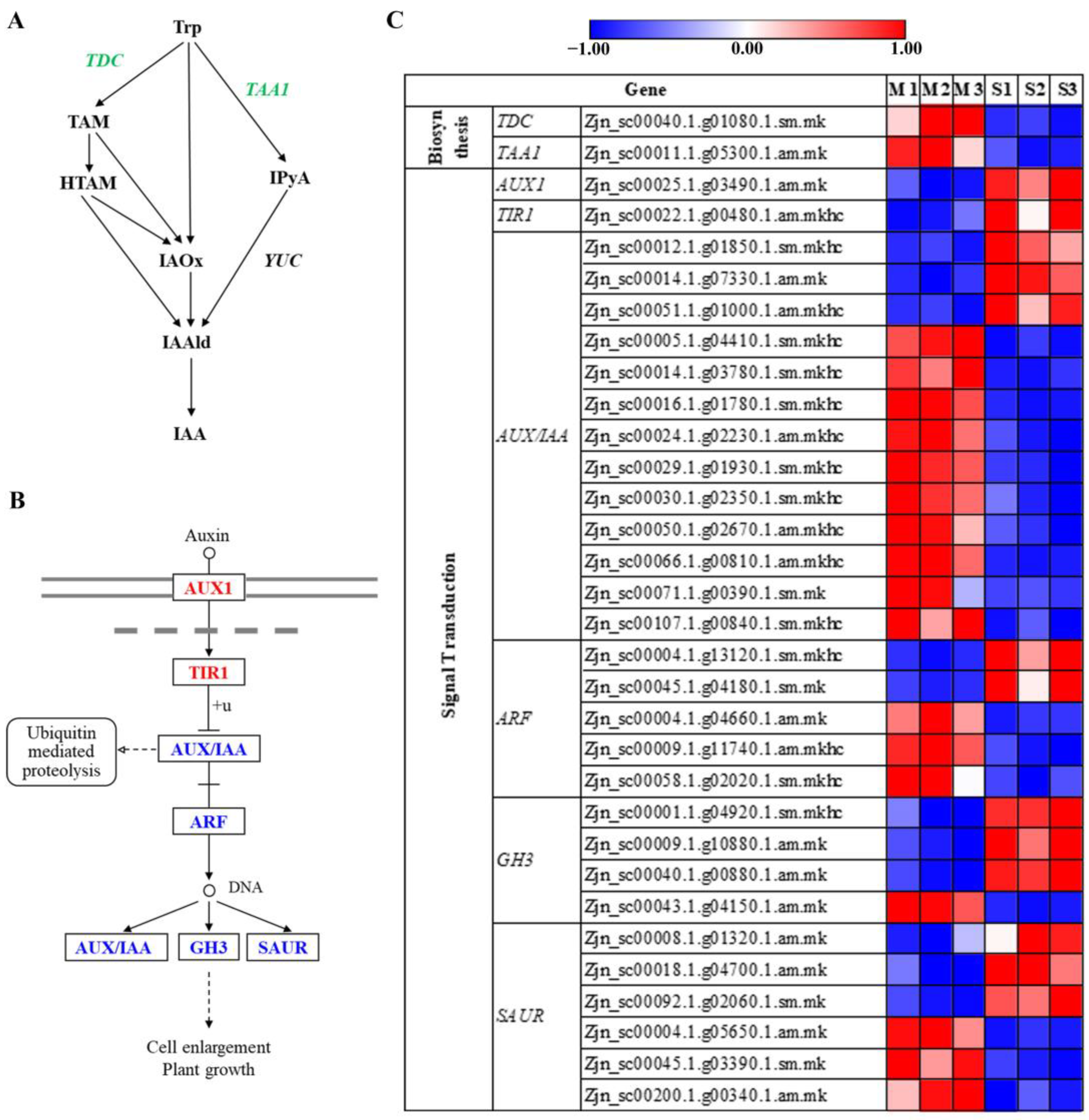 Agronomy 13 00623 g006
