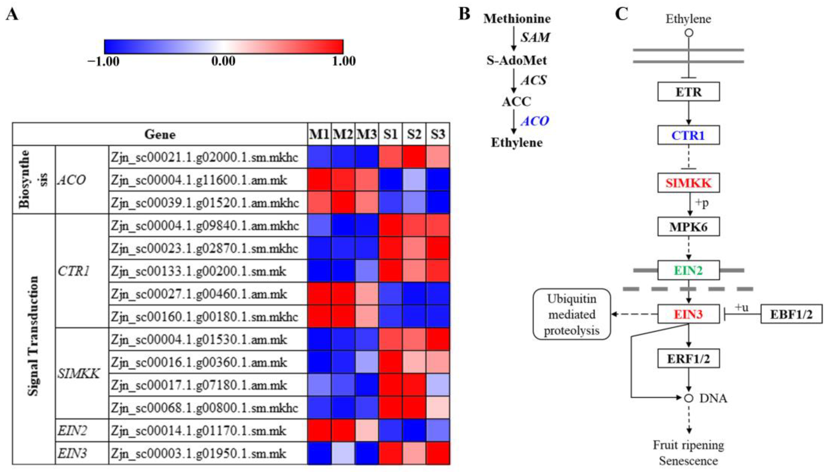Agronomy 13 00623 g008