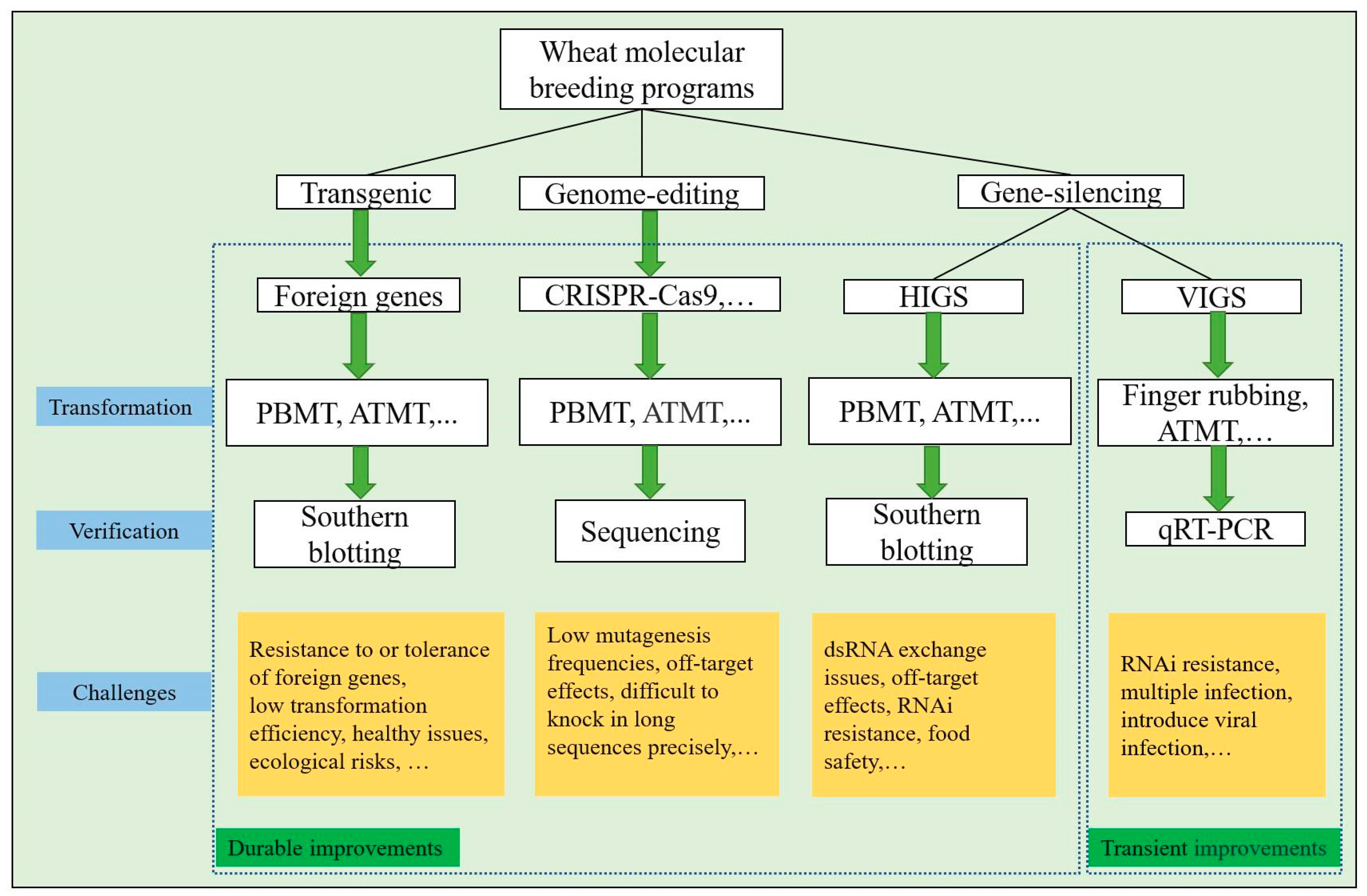 Agronomy 13 00628 g002