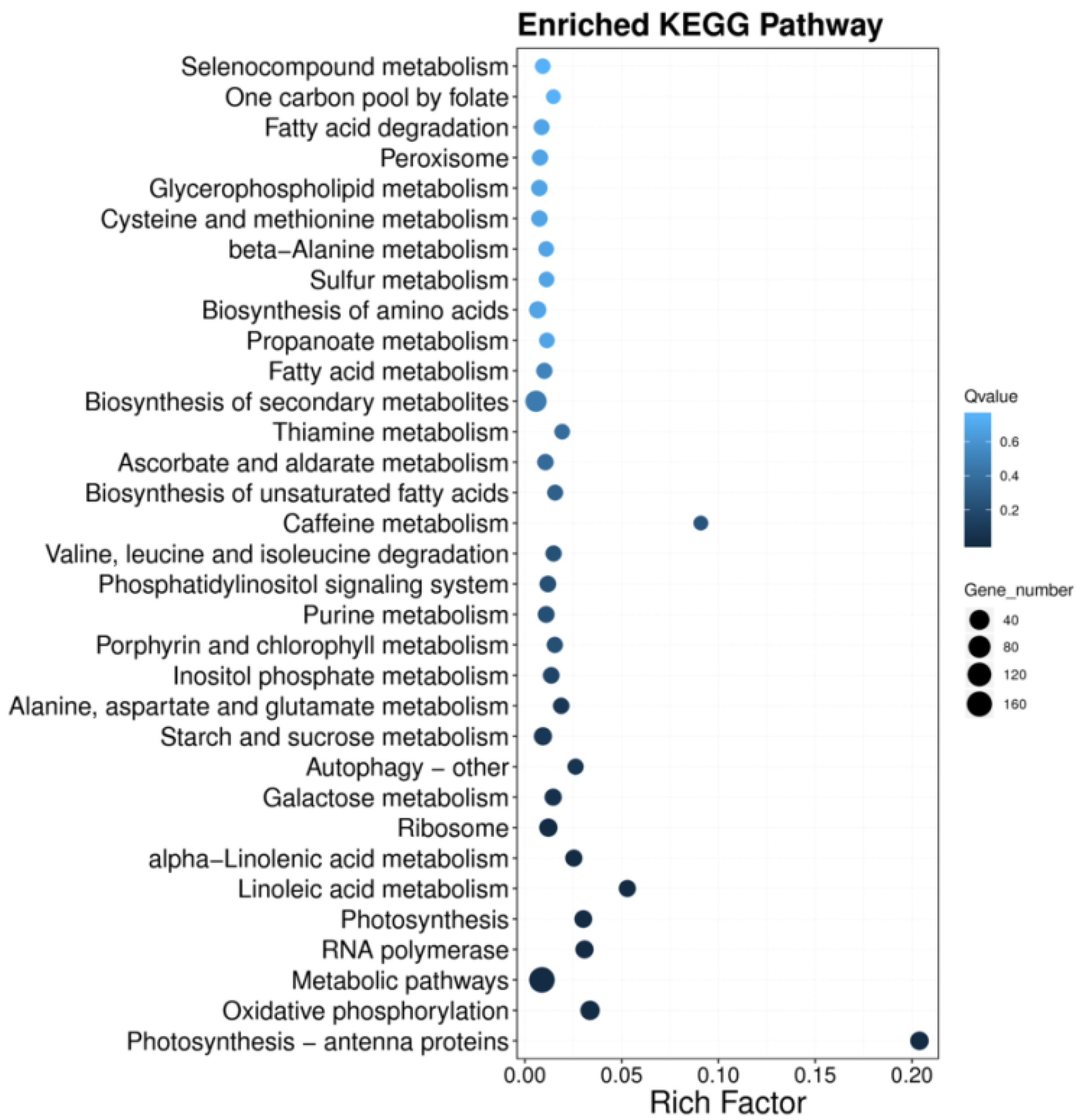 Agronomy 13 00631 g003
