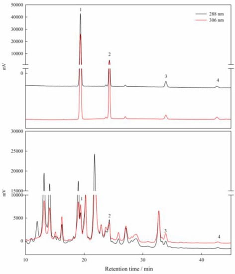 Agronomy 13 00633 g0a1