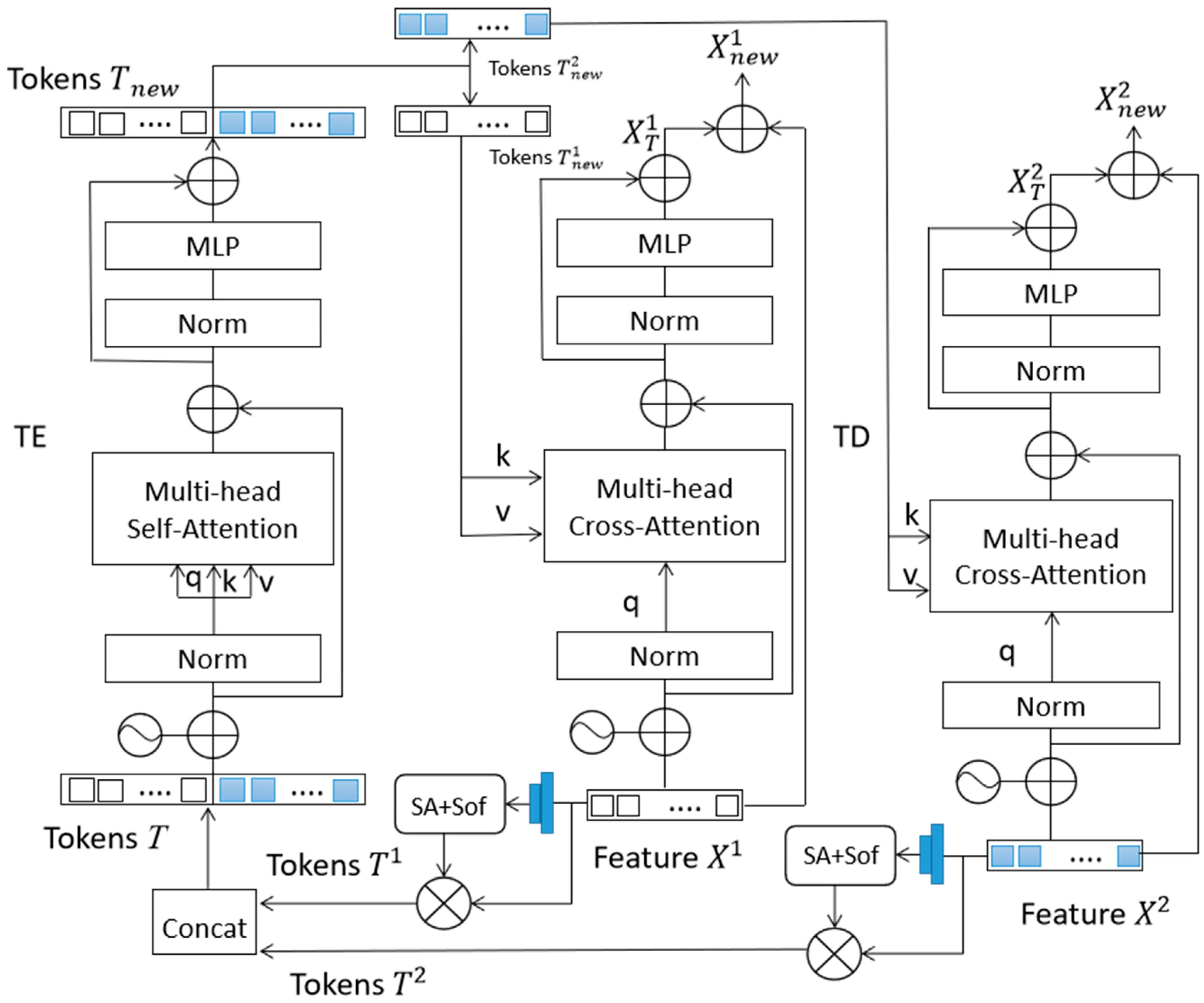 Agronomy 13 00635 g003