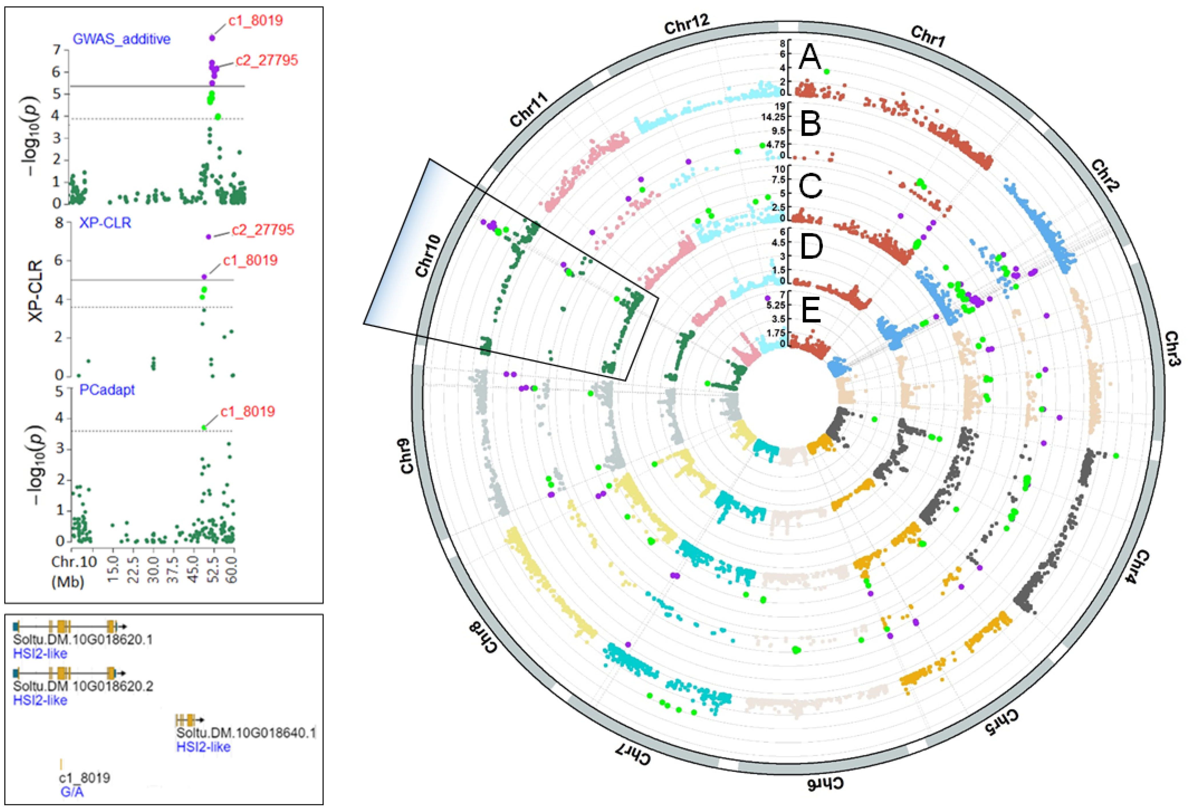 Agronomy 13 00642 g004