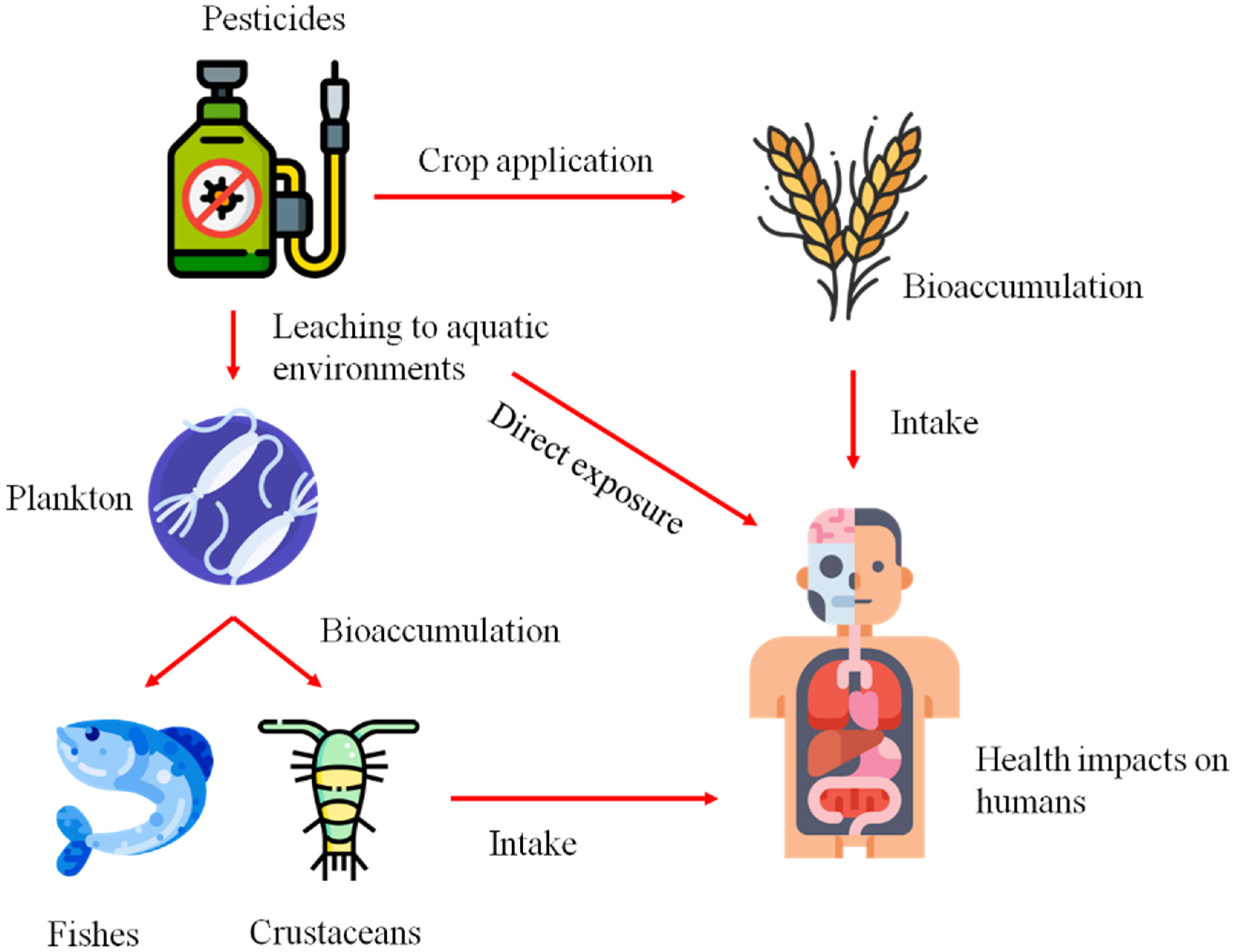Agronomy 13 00643 g001