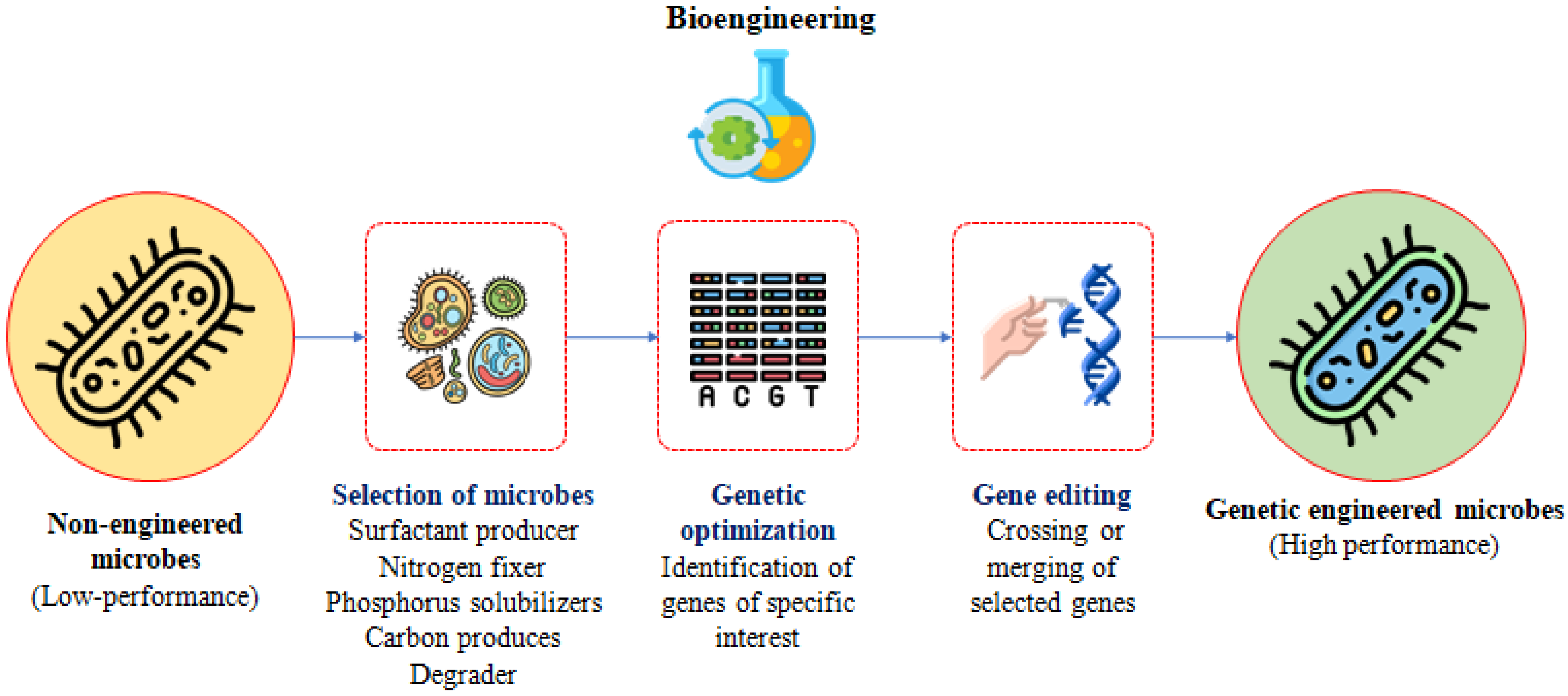 Agronomy 13 00643 g002