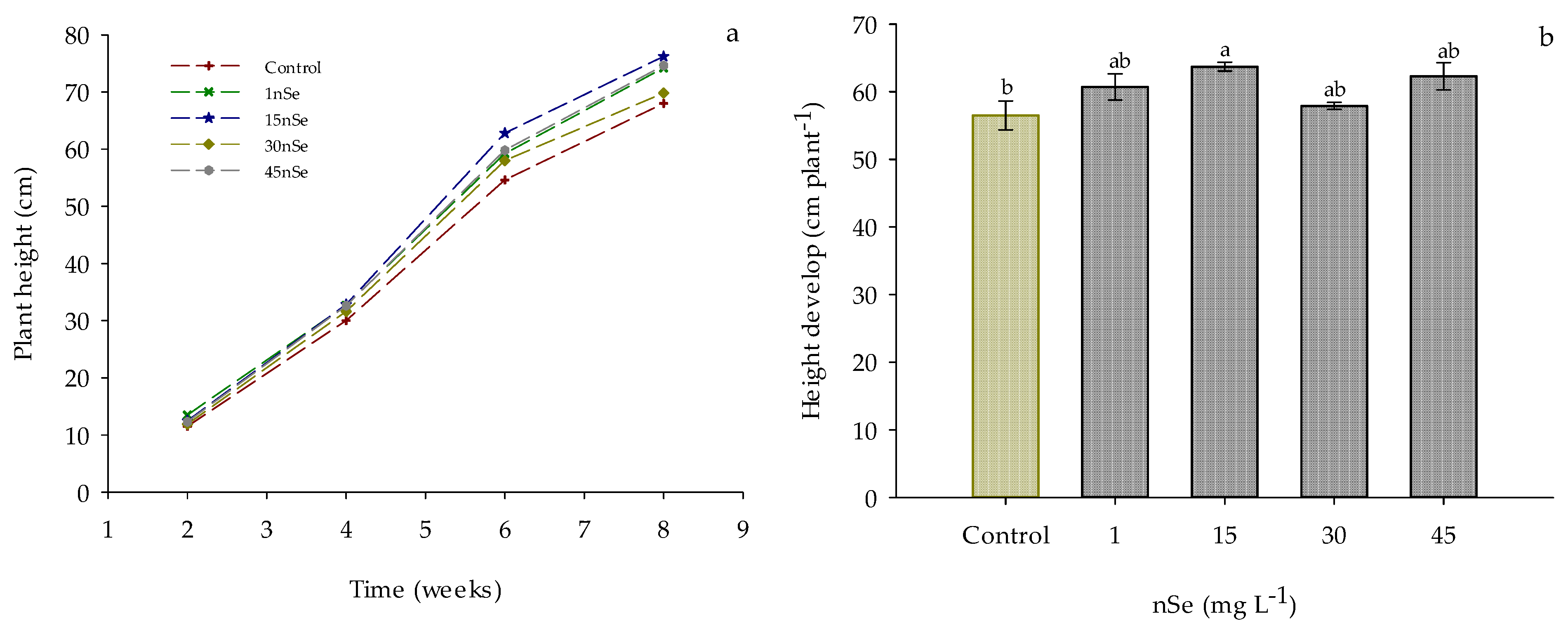 Agronomy 13 00652 g001