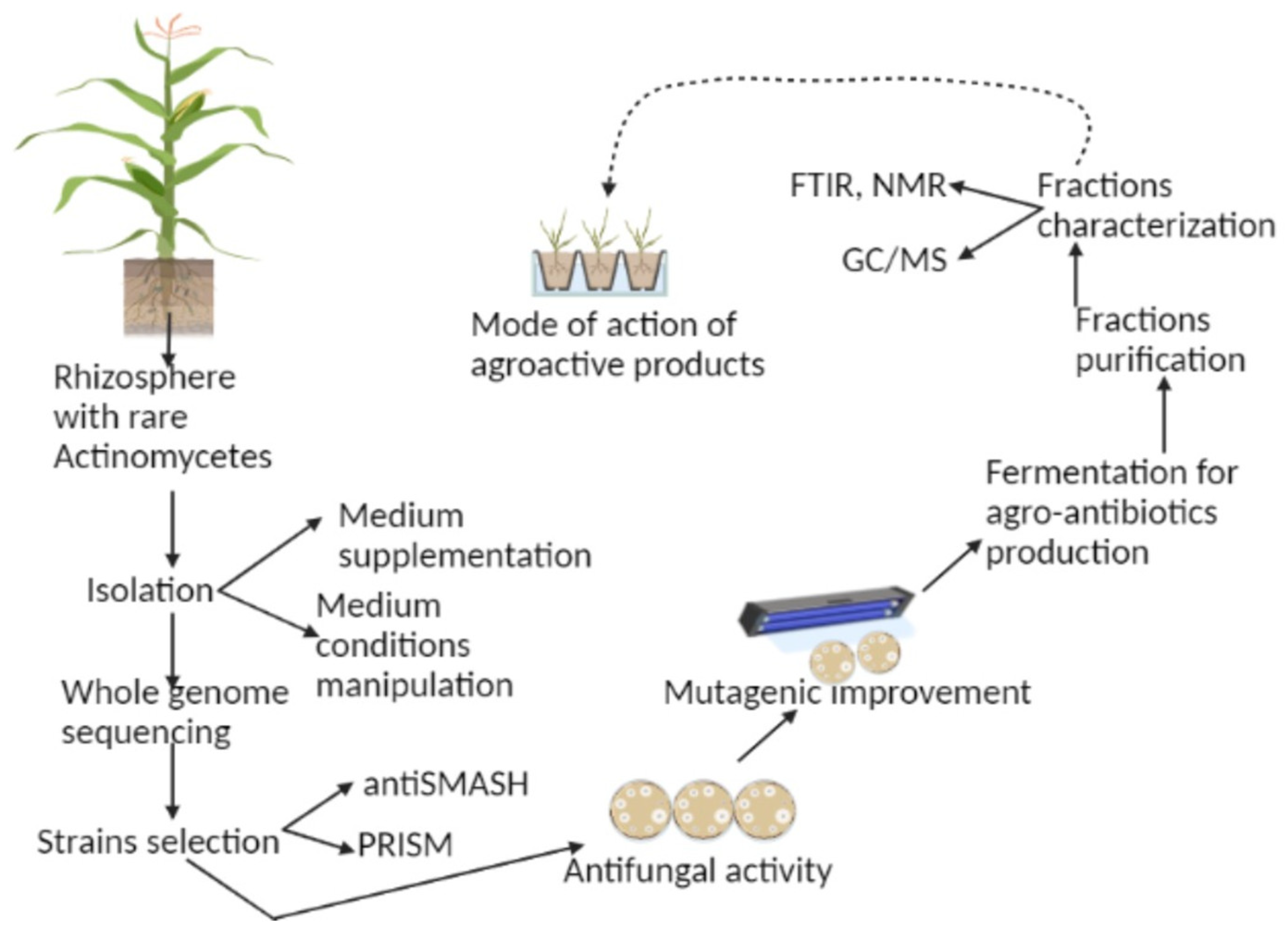 Agronomy 13 00666 g001