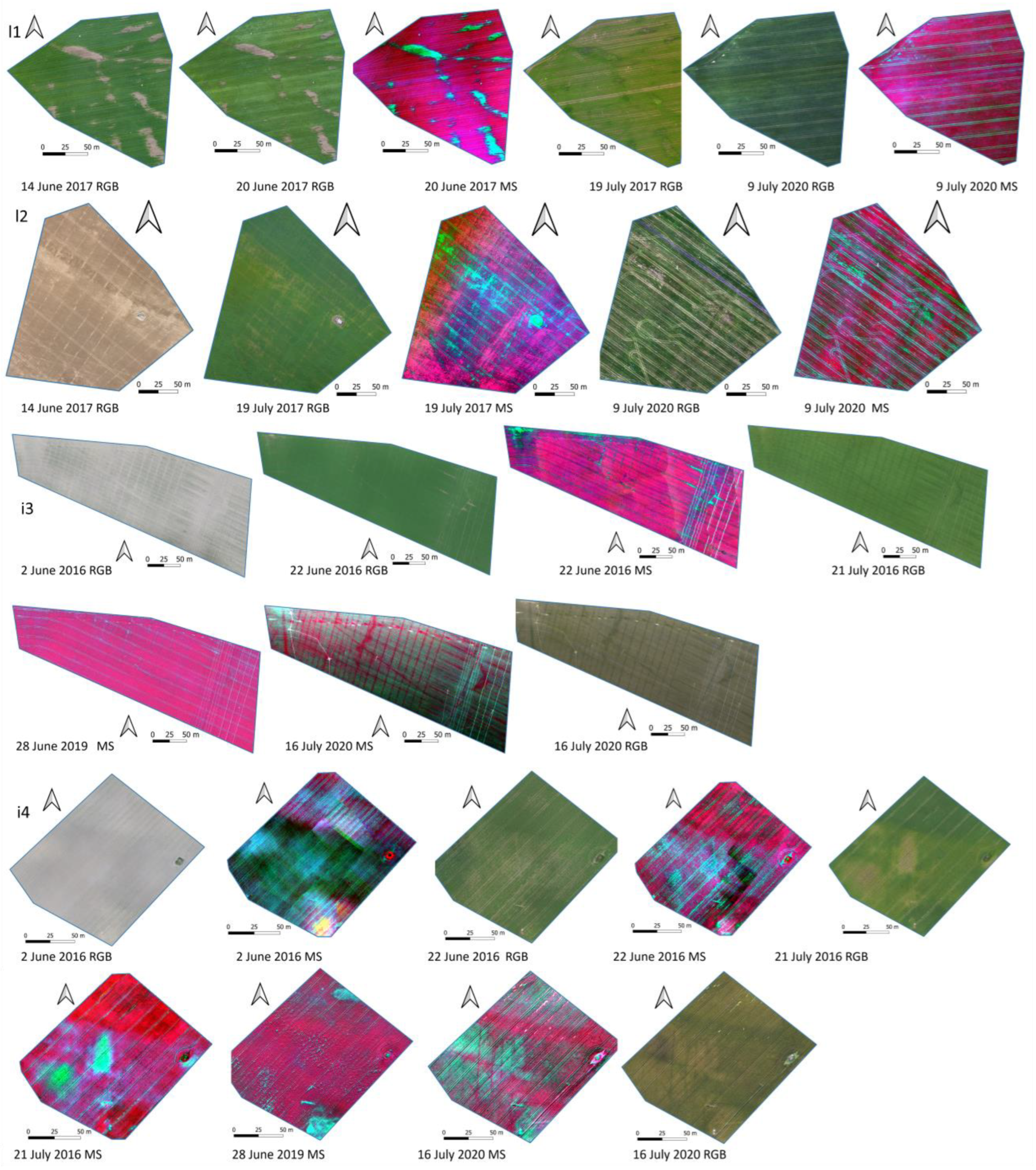 Agronomy 13 00669 g002