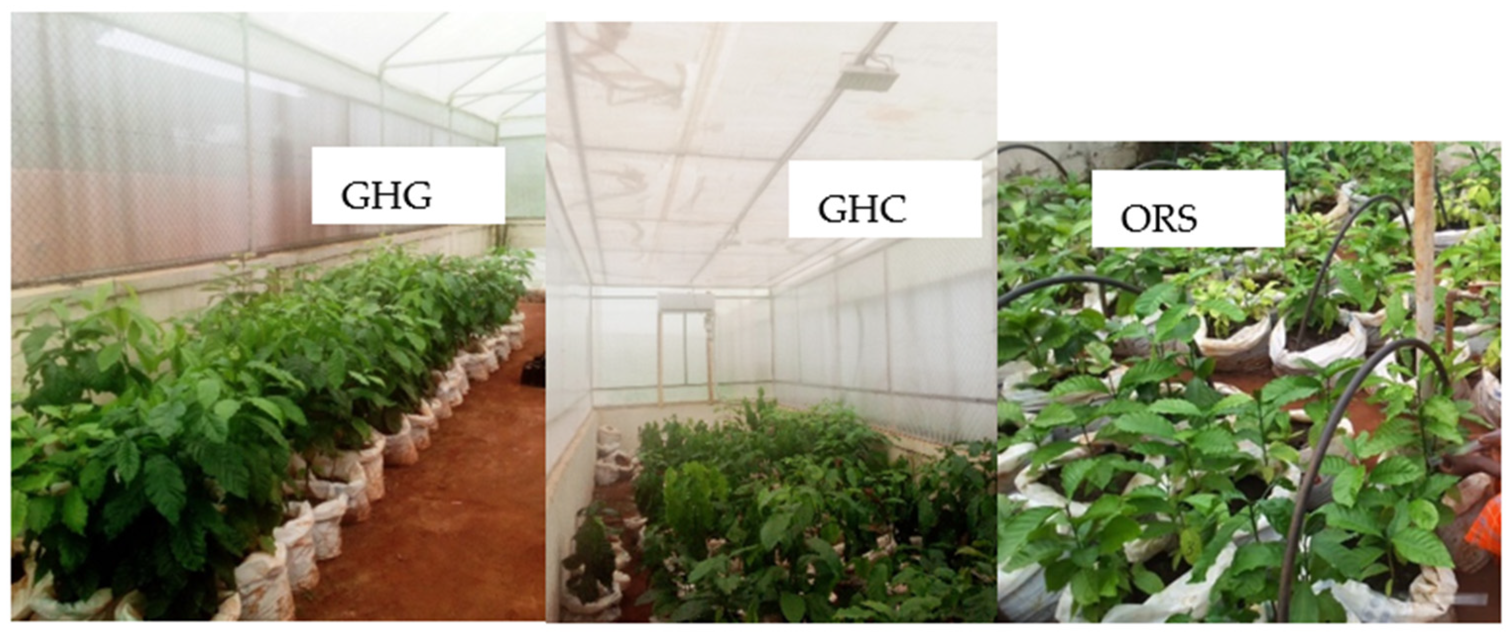 Agronomy 13 00674 sch001