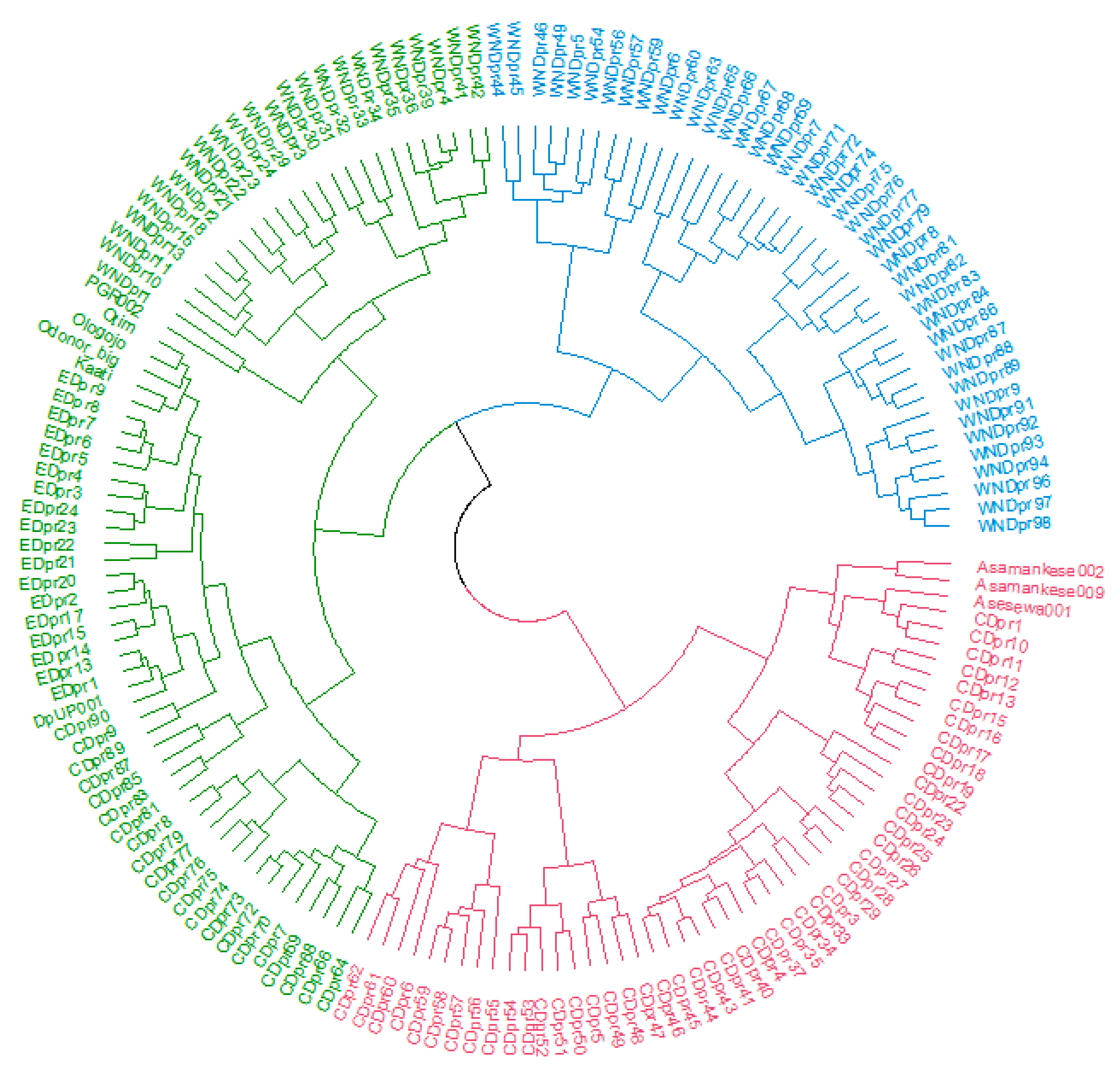 Agronomy 13 00682 g004