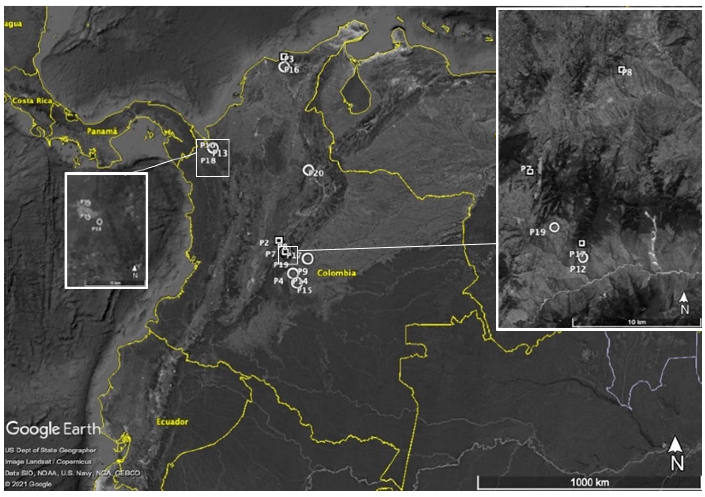 Agronomy 13 00683 g003